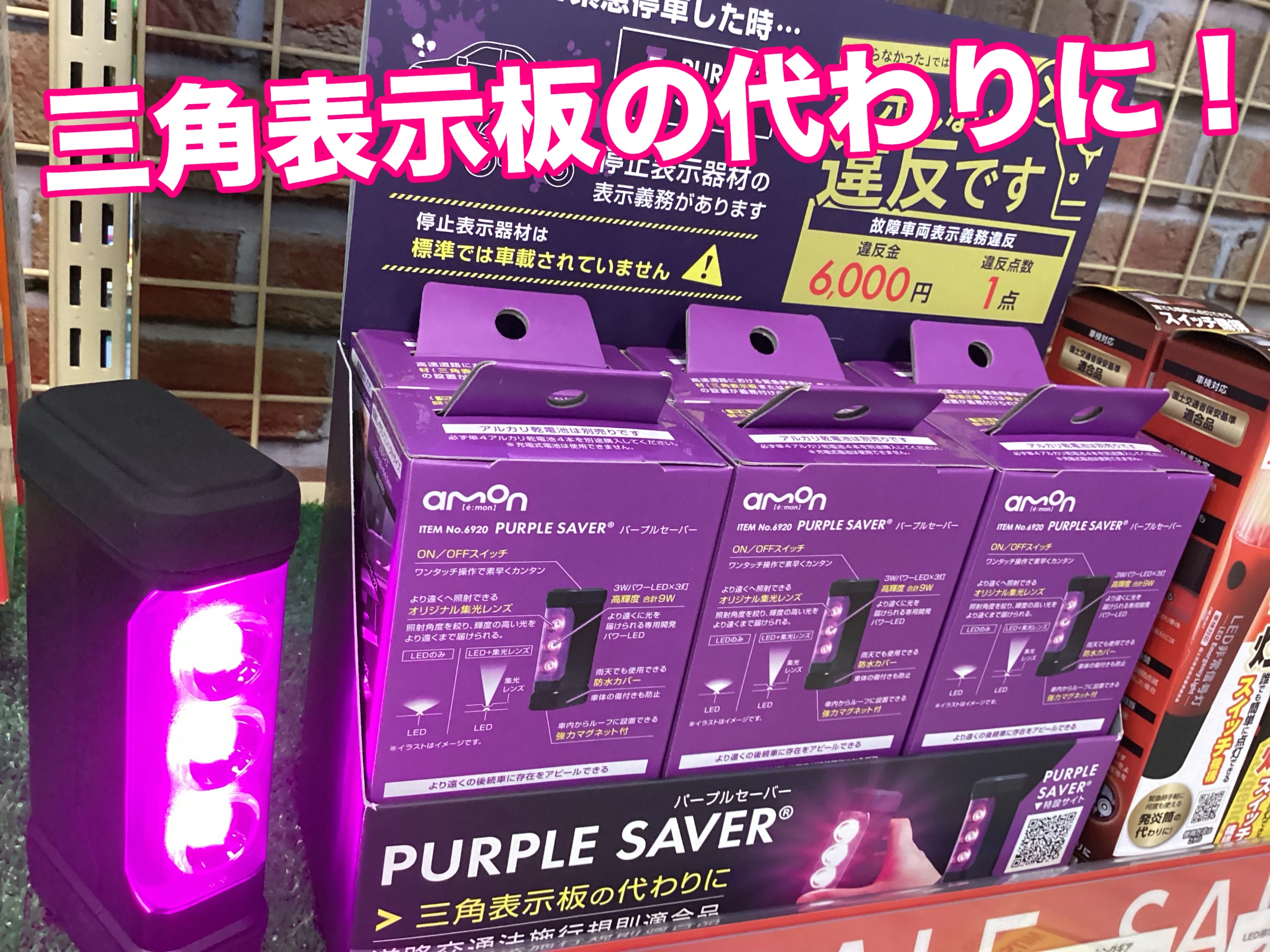 スタッフ撮影画像です