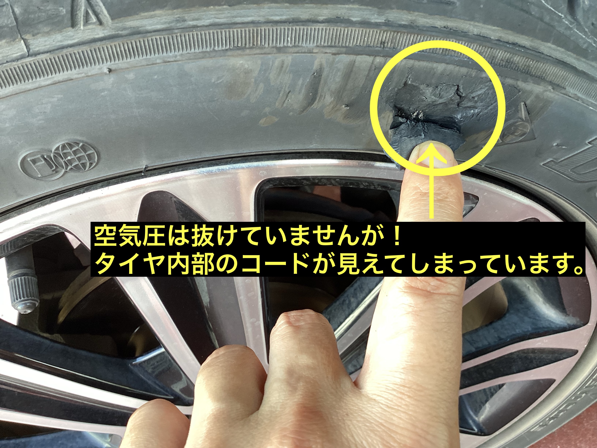 スタッフが撮影