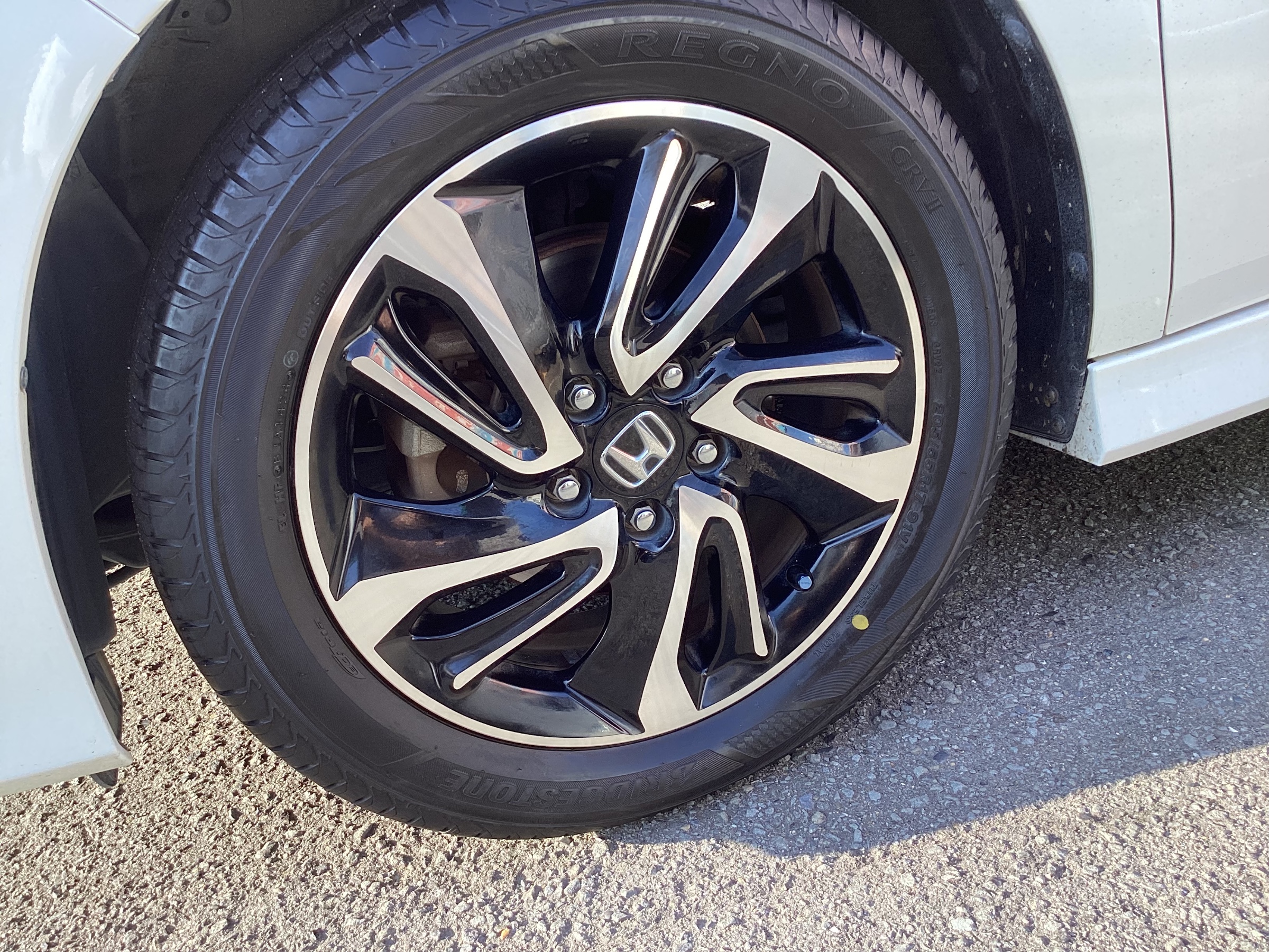 スタッフ撮影分