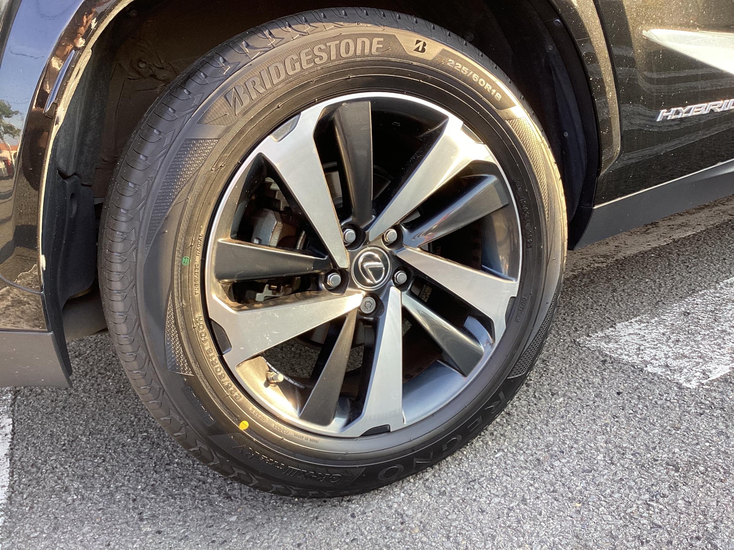 スタッフ撮影分