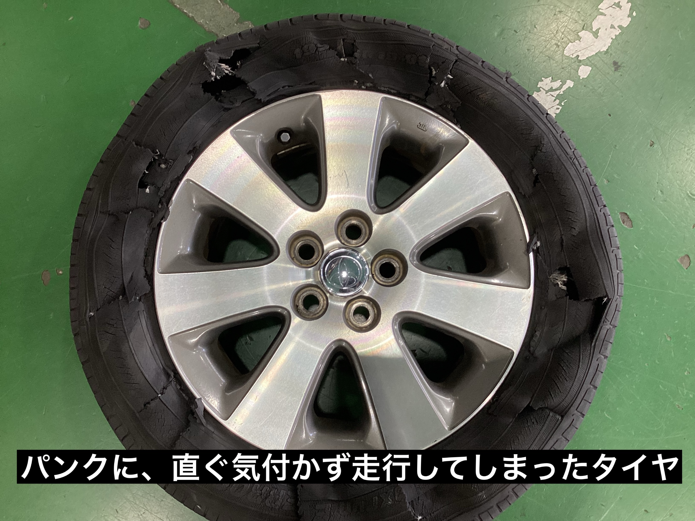 スタッフが撮影