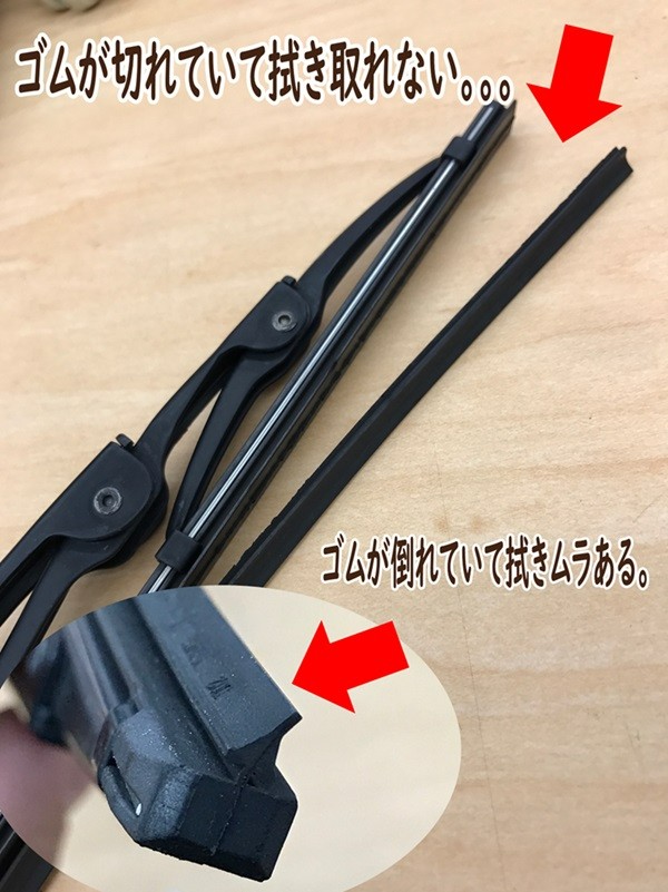 スタッフが撮影加工した画像