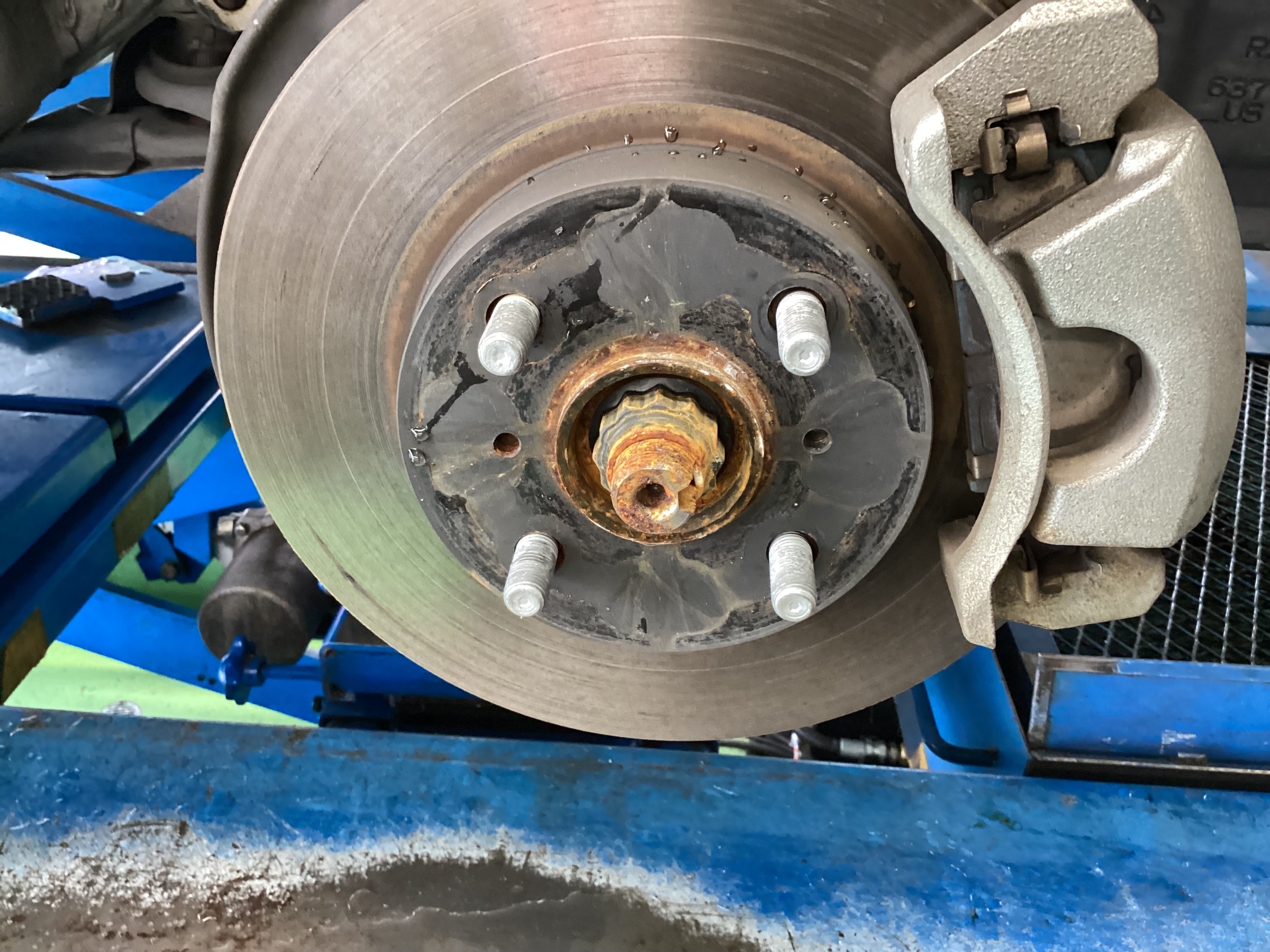 スタッフ撮影分