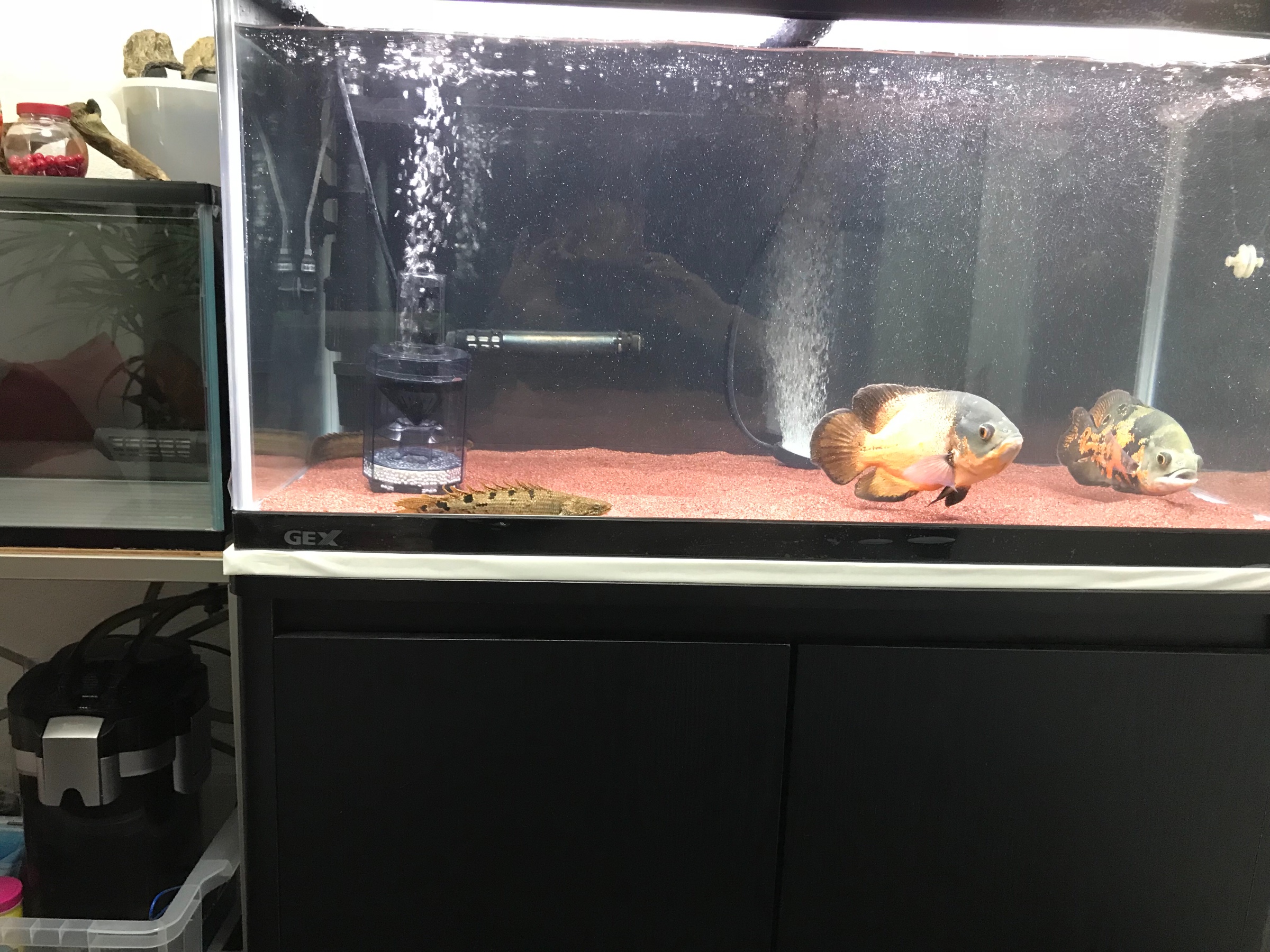 スタッフが撮影した写真です