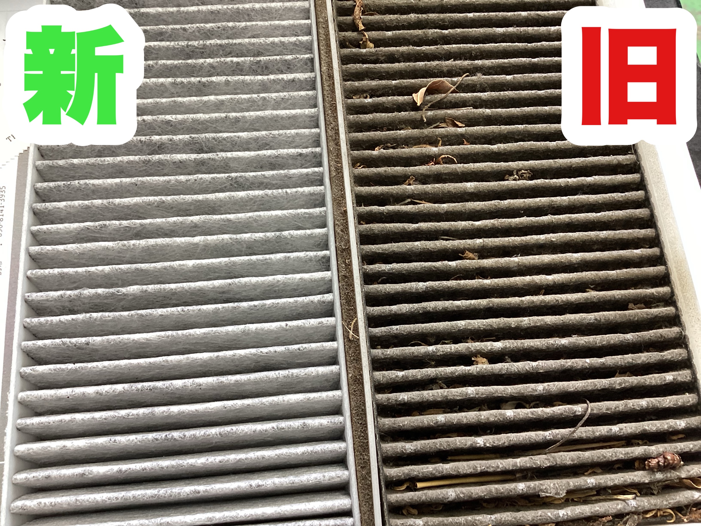 スタッフ撮影分