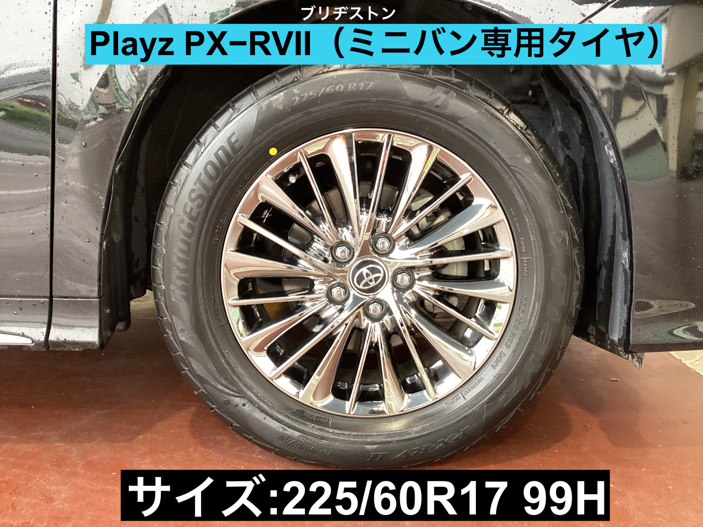 スタッフが撮影
