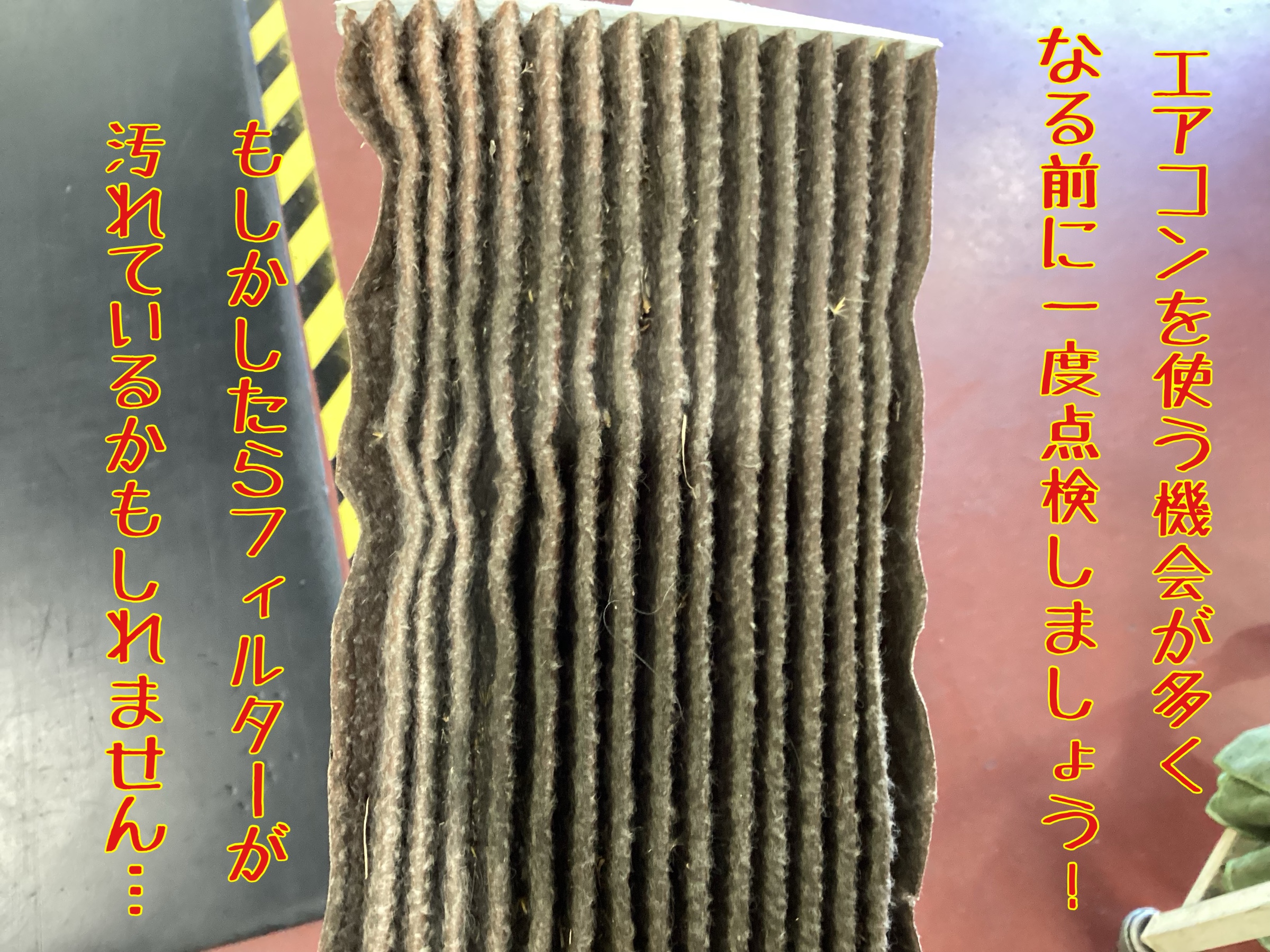 スタッフ撮影。無料画像編集アプリにて編集。