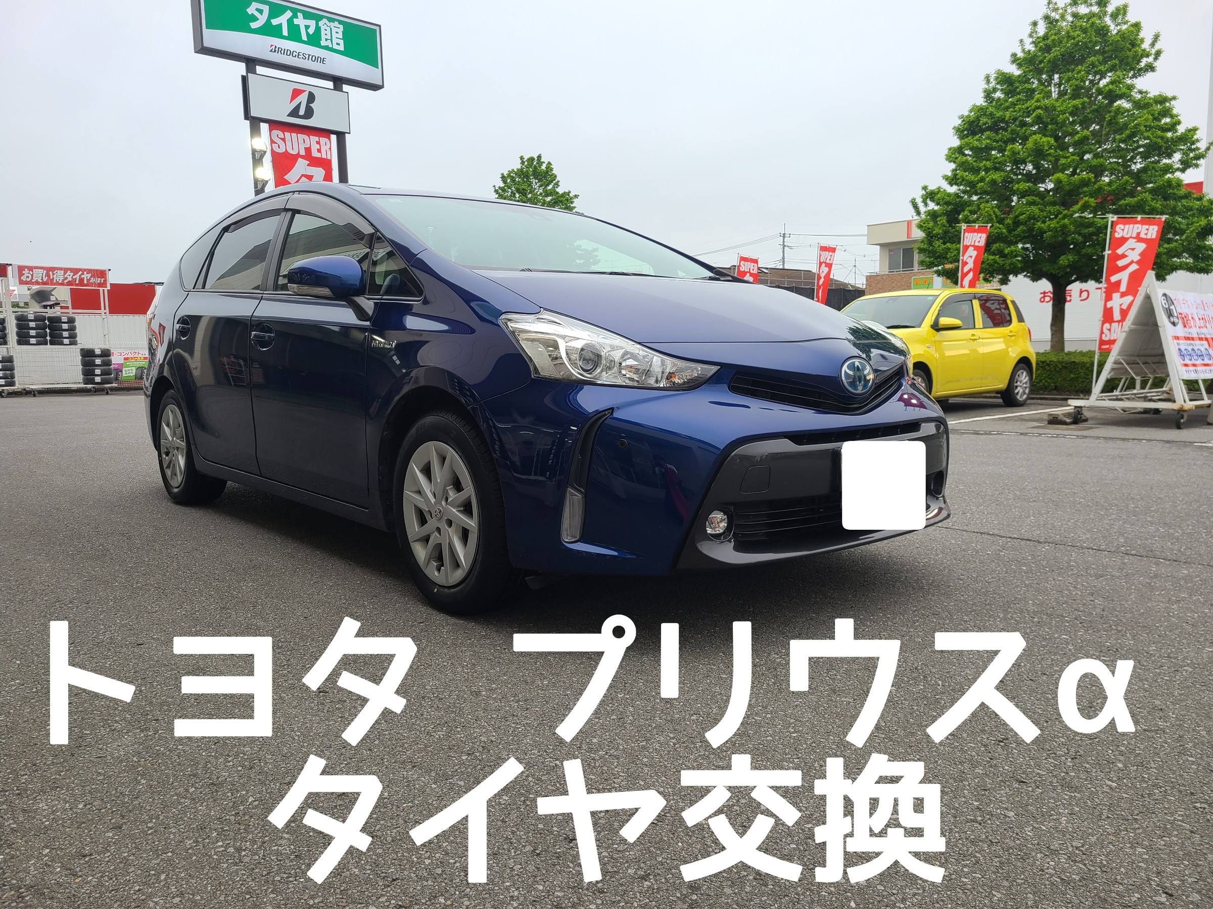 スタッフが撮影しました。