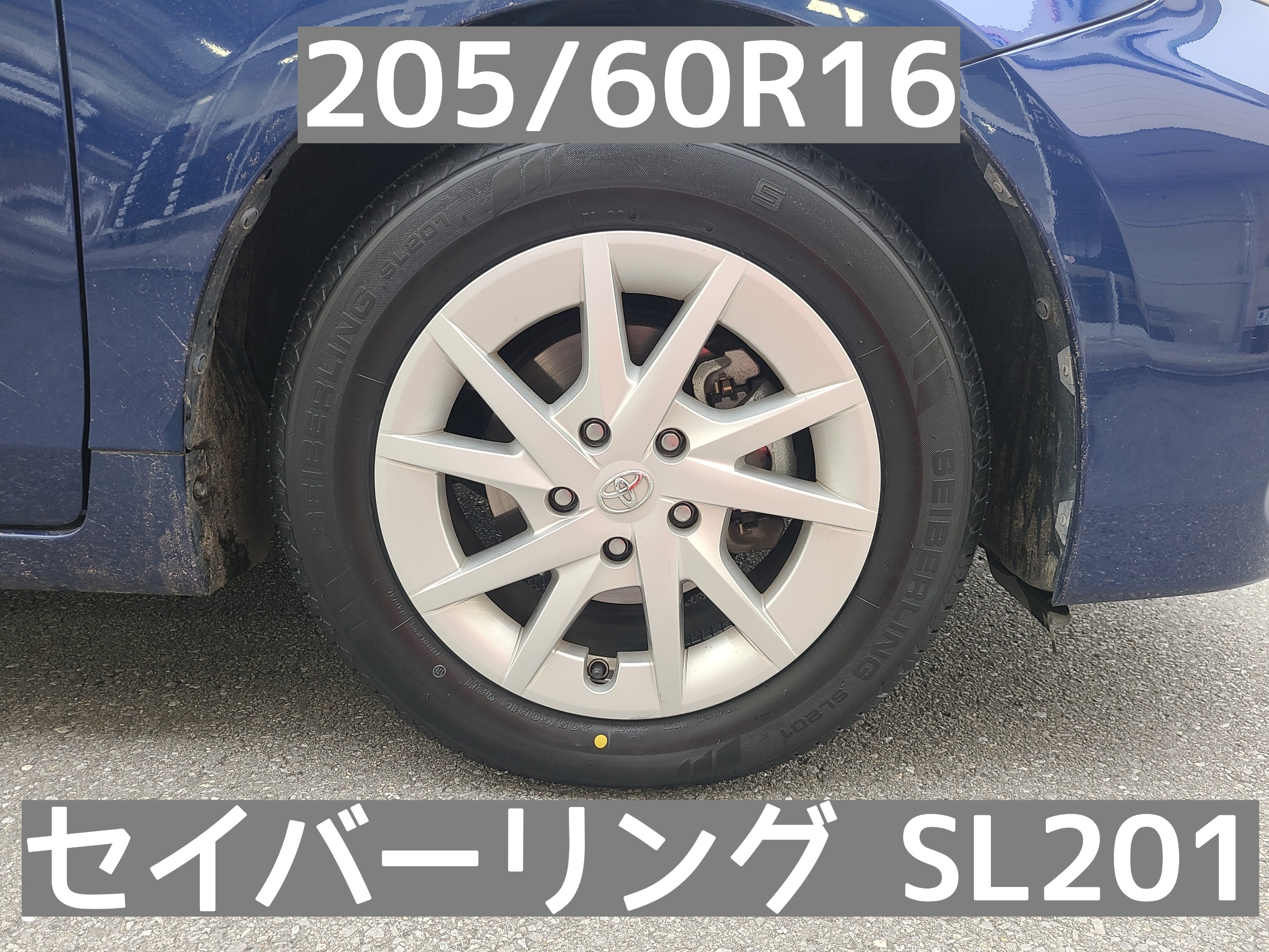 スタッフが撮影しました。