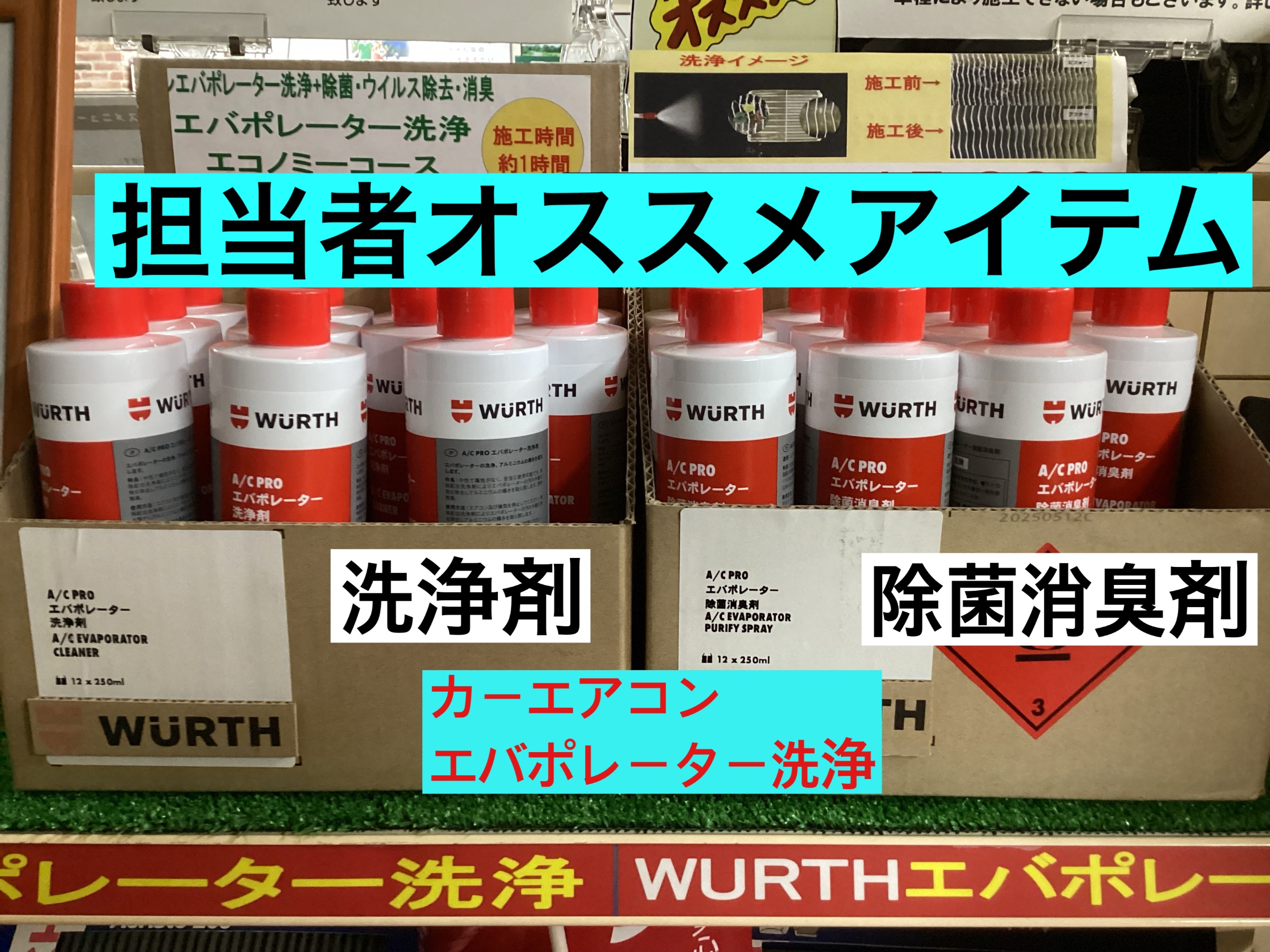 スタッフが撮影