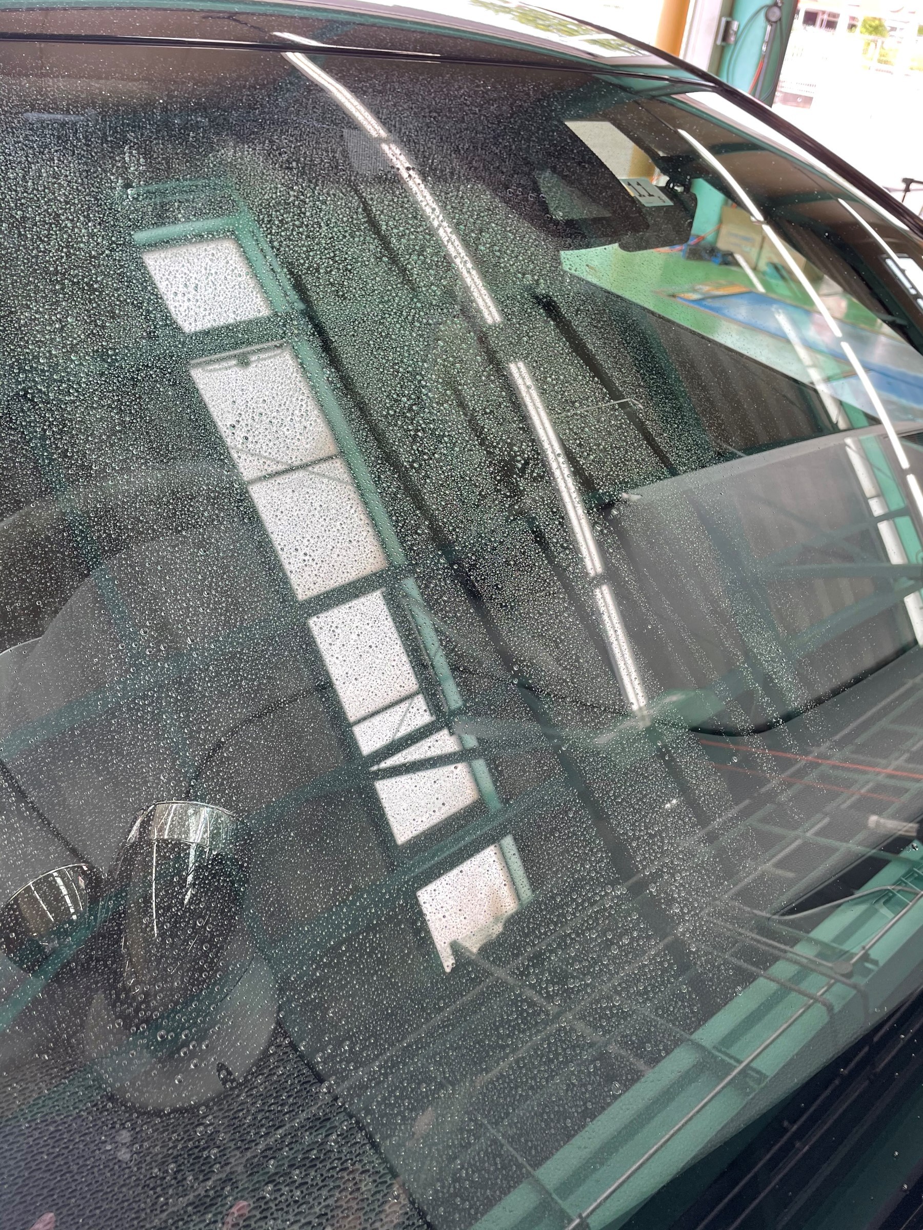 スタッフ撮影分