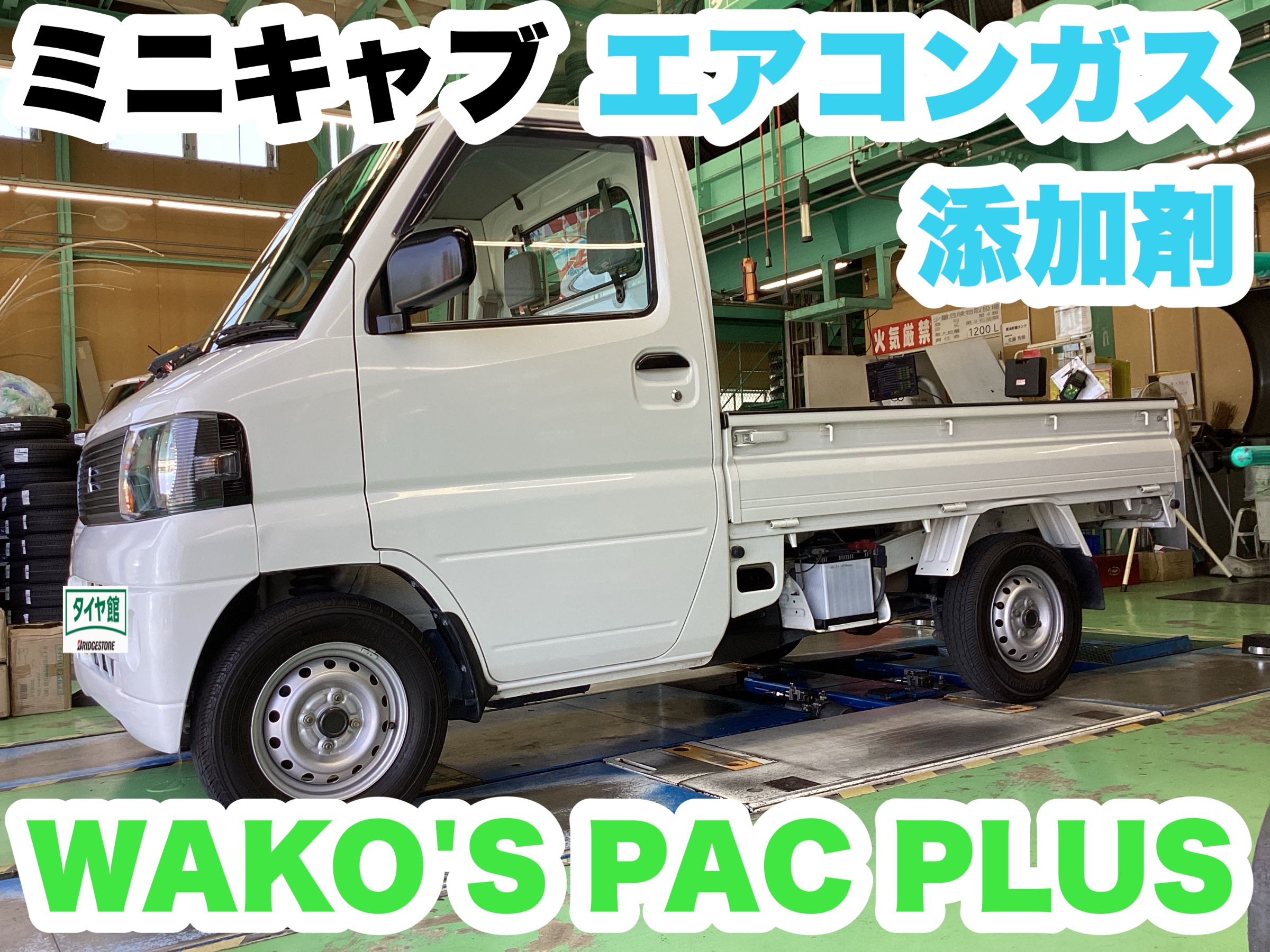 スタッフ撮影分