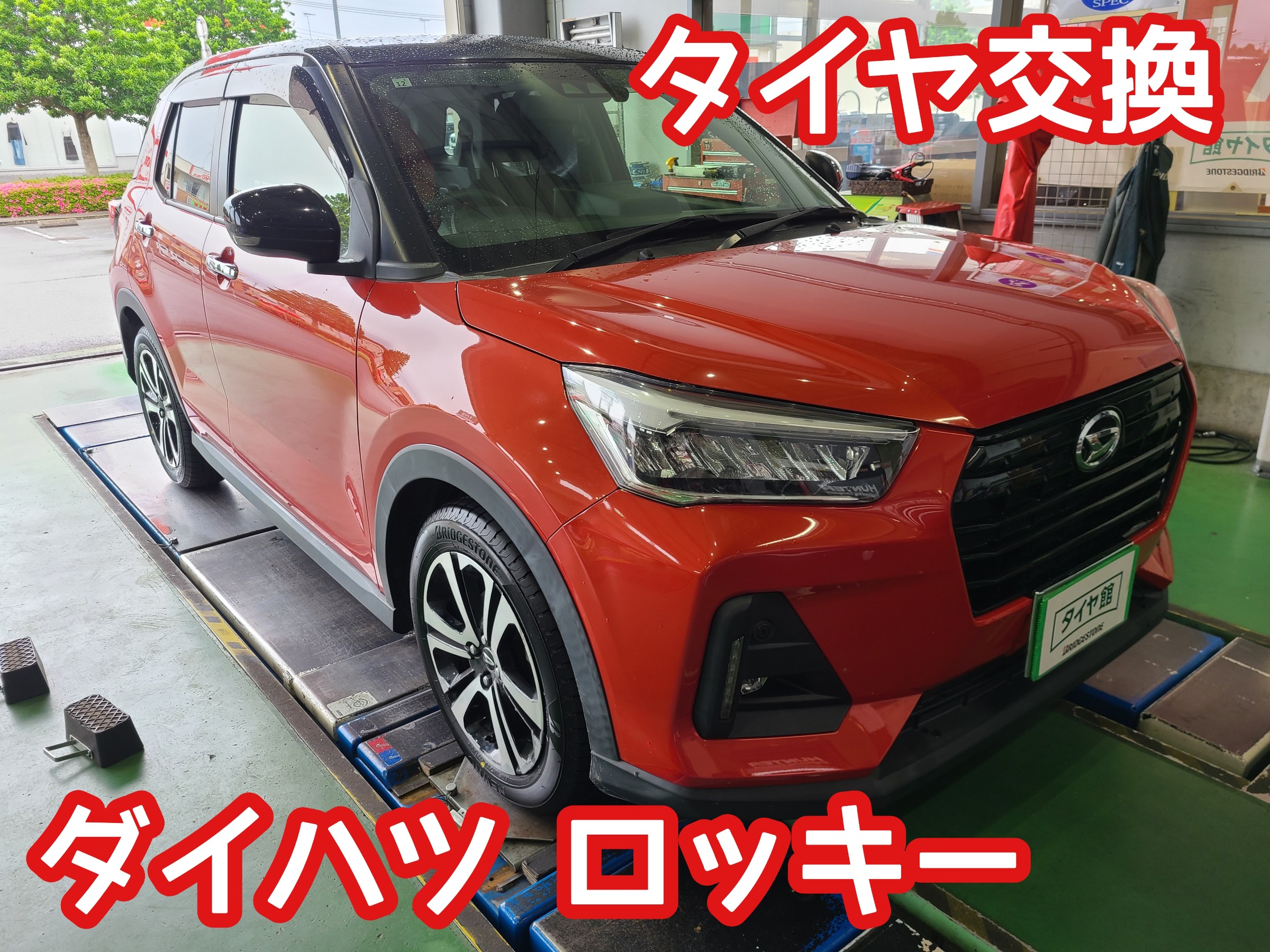 スタッフが撮影しました。