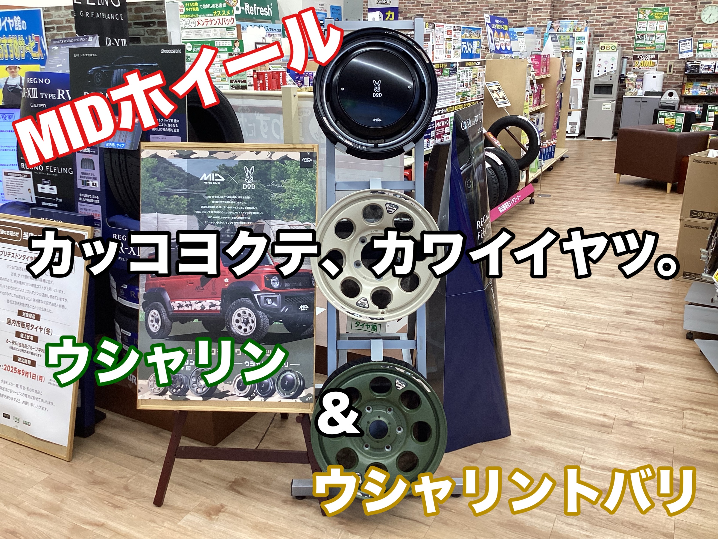 スタッフ撮影