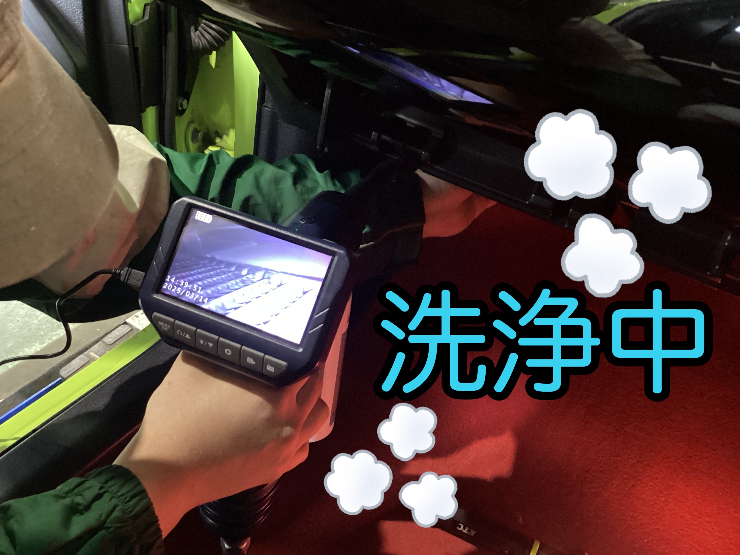 スタッフが撮影した写真です。