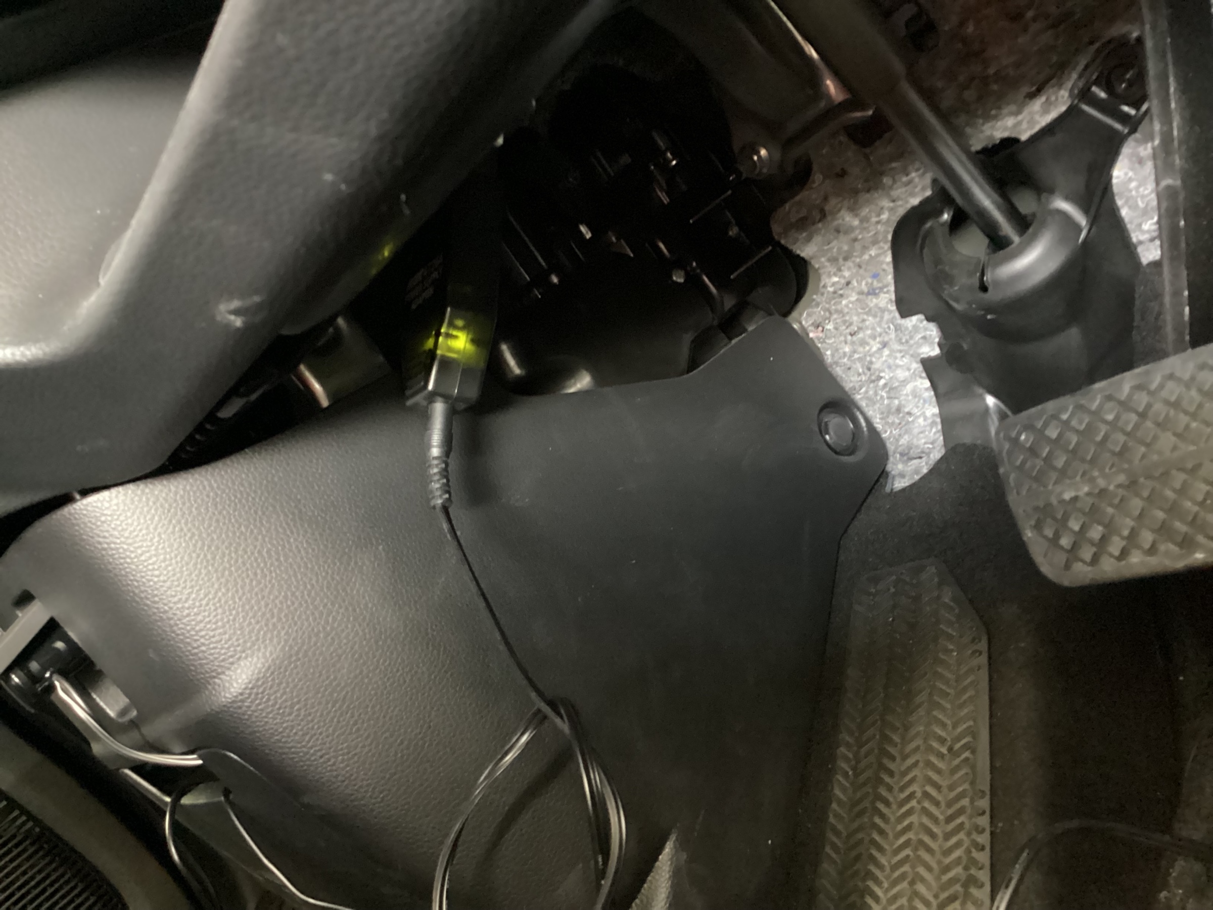 スタッフ撮影分