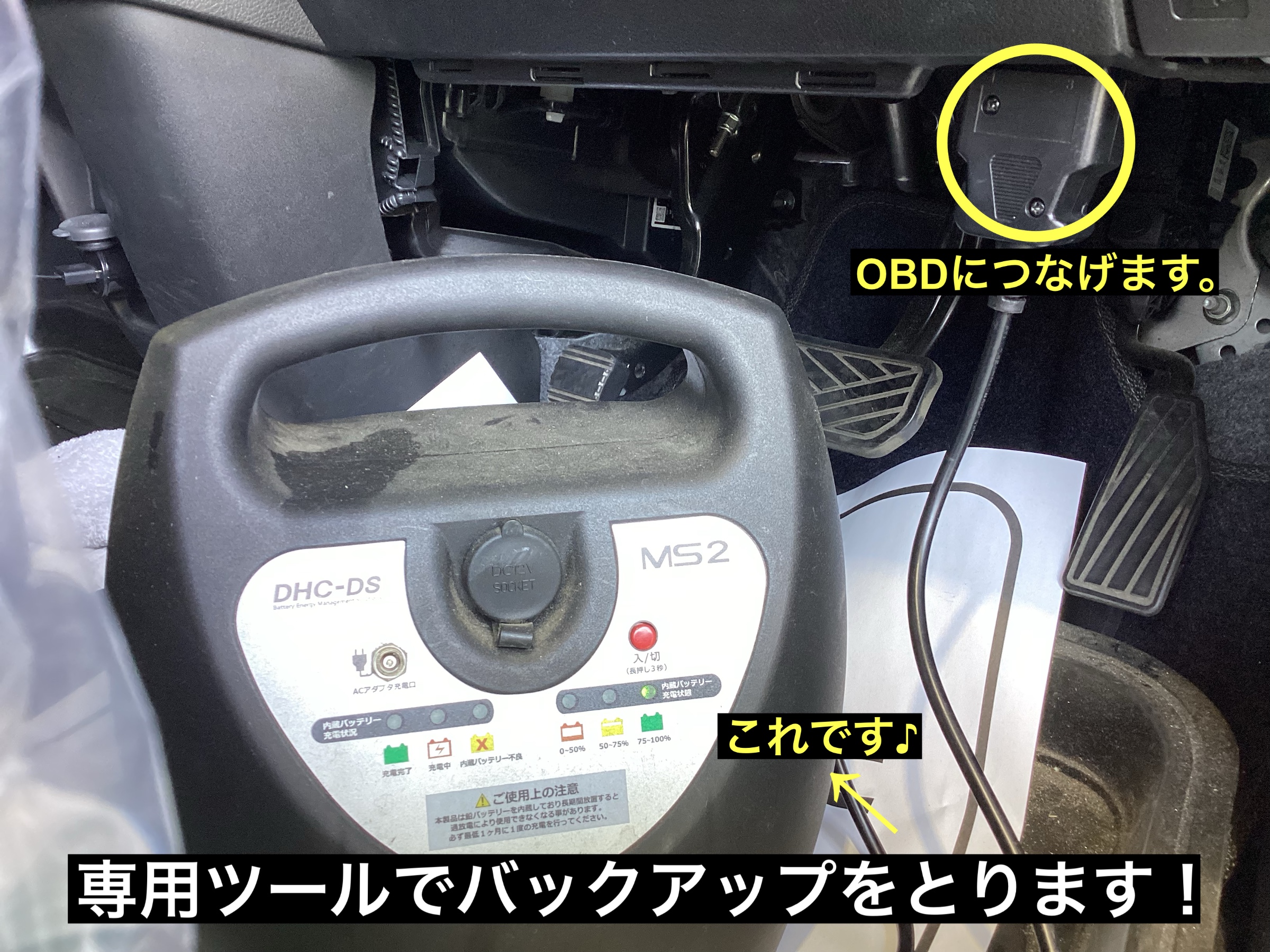 スタッフが撮影