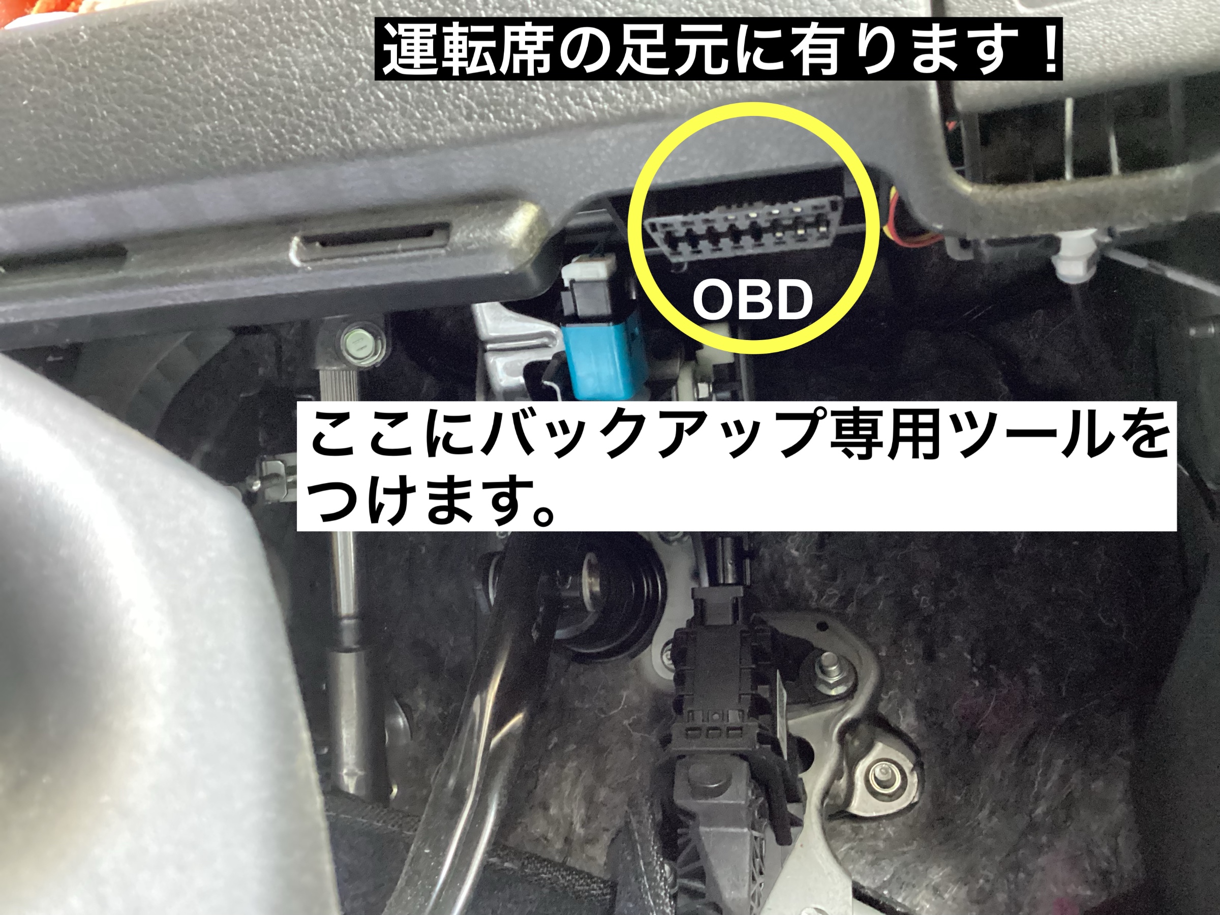 スタッフが撮影