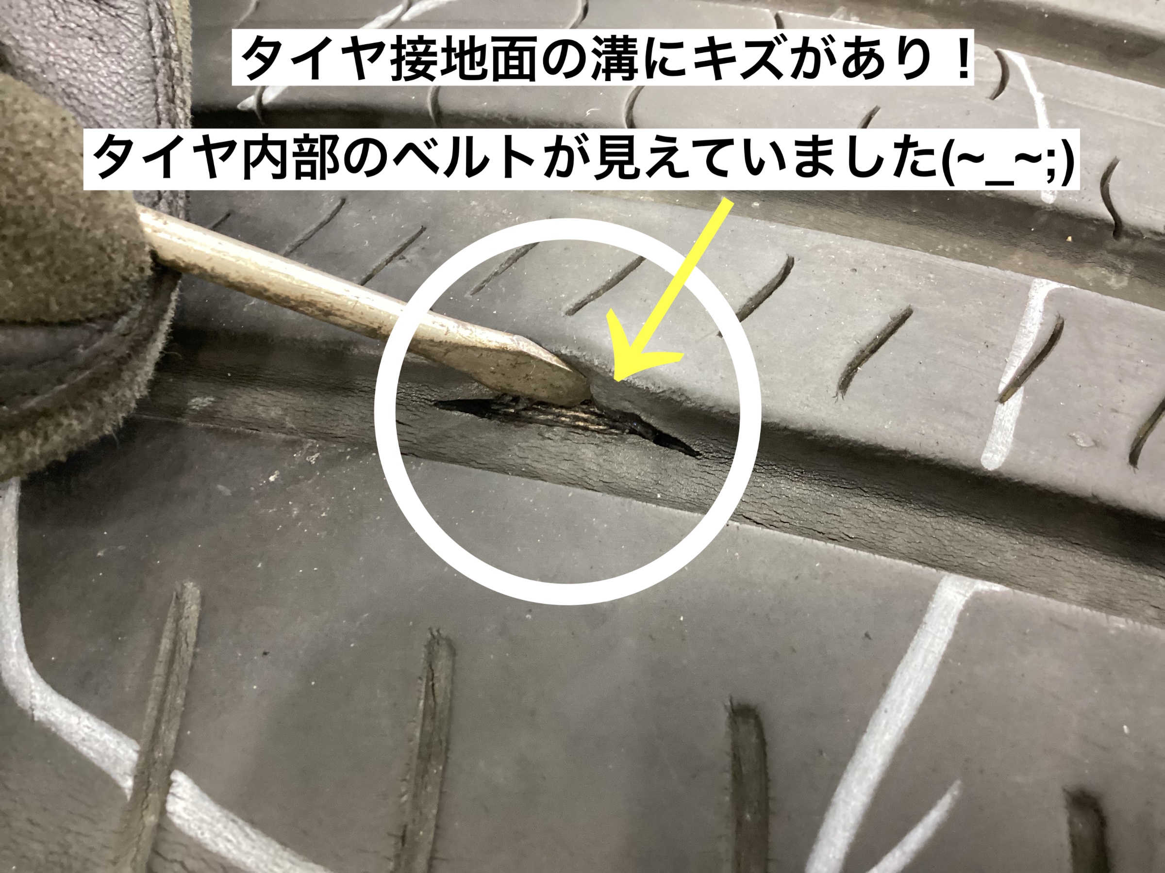 スタッフが撮影