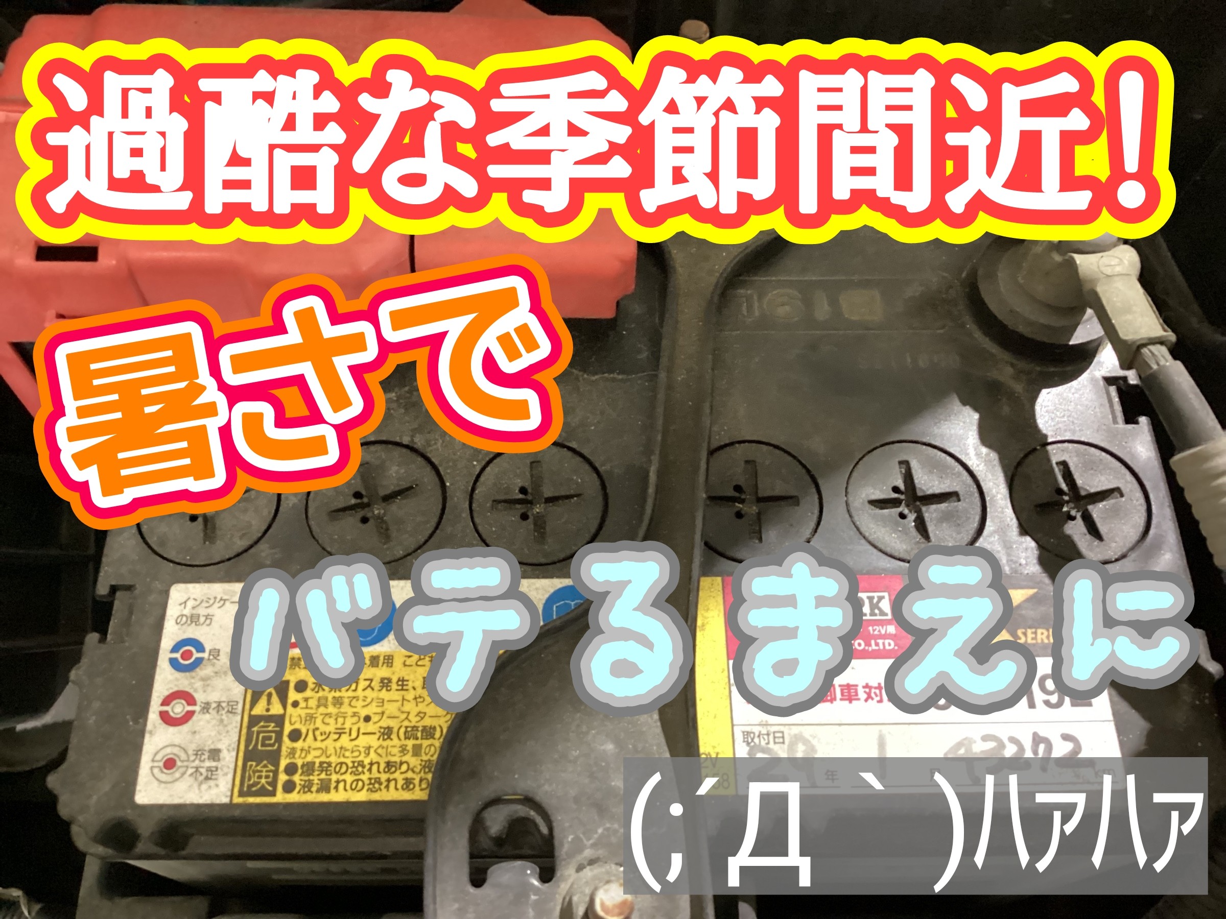 スタッフ撮影、画像編集