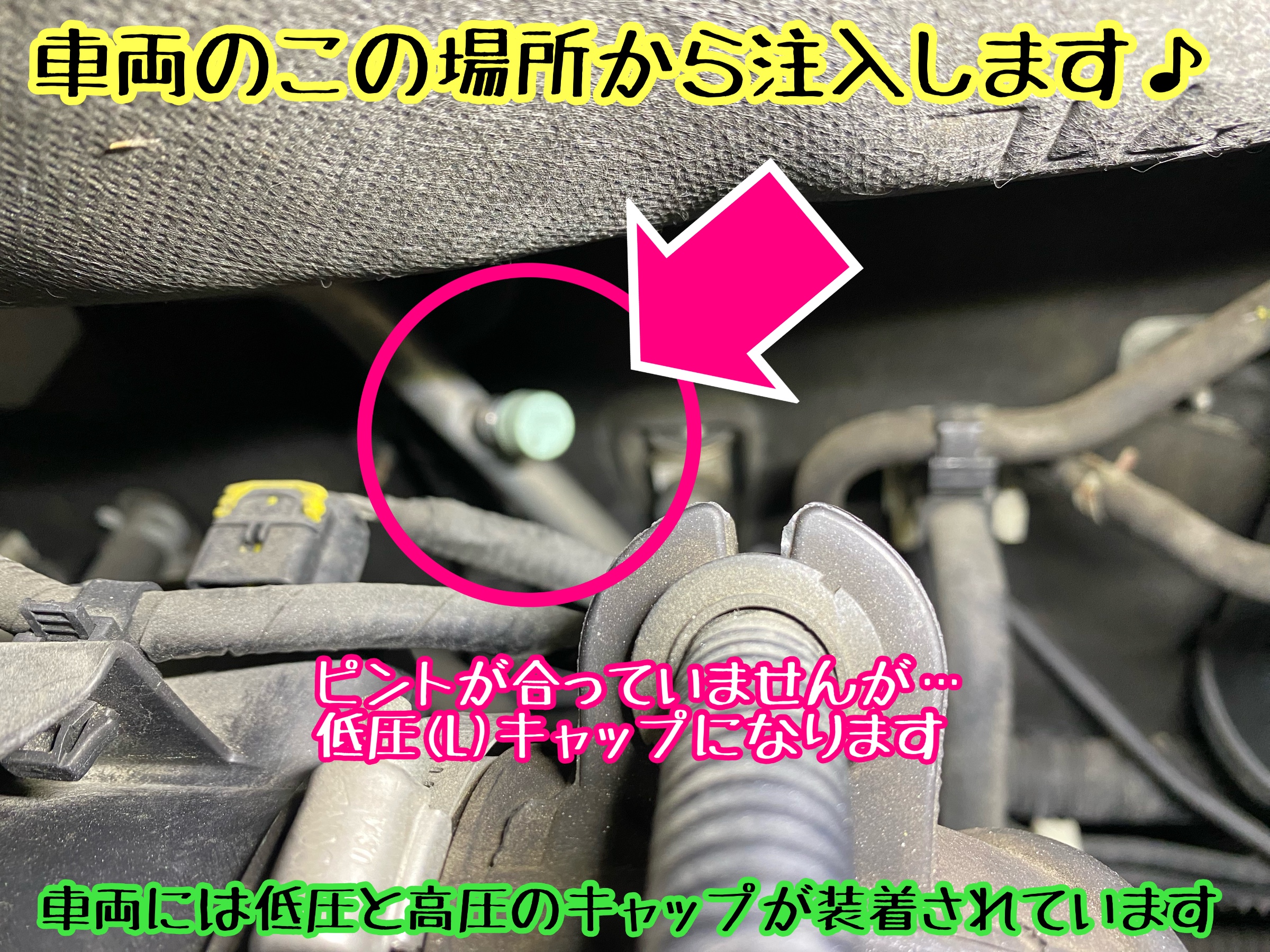　　ブリヂストン　タイヤ館下松　タイヤ交換　アルミホイール　オイル交換　バッテリー交換　ワイパー交換　エアコンフィルター交換　アライメント調整　国産車　輸入車　下松市　周南市　徳山　柳井　熊毛　光　玖珂　周東　　
