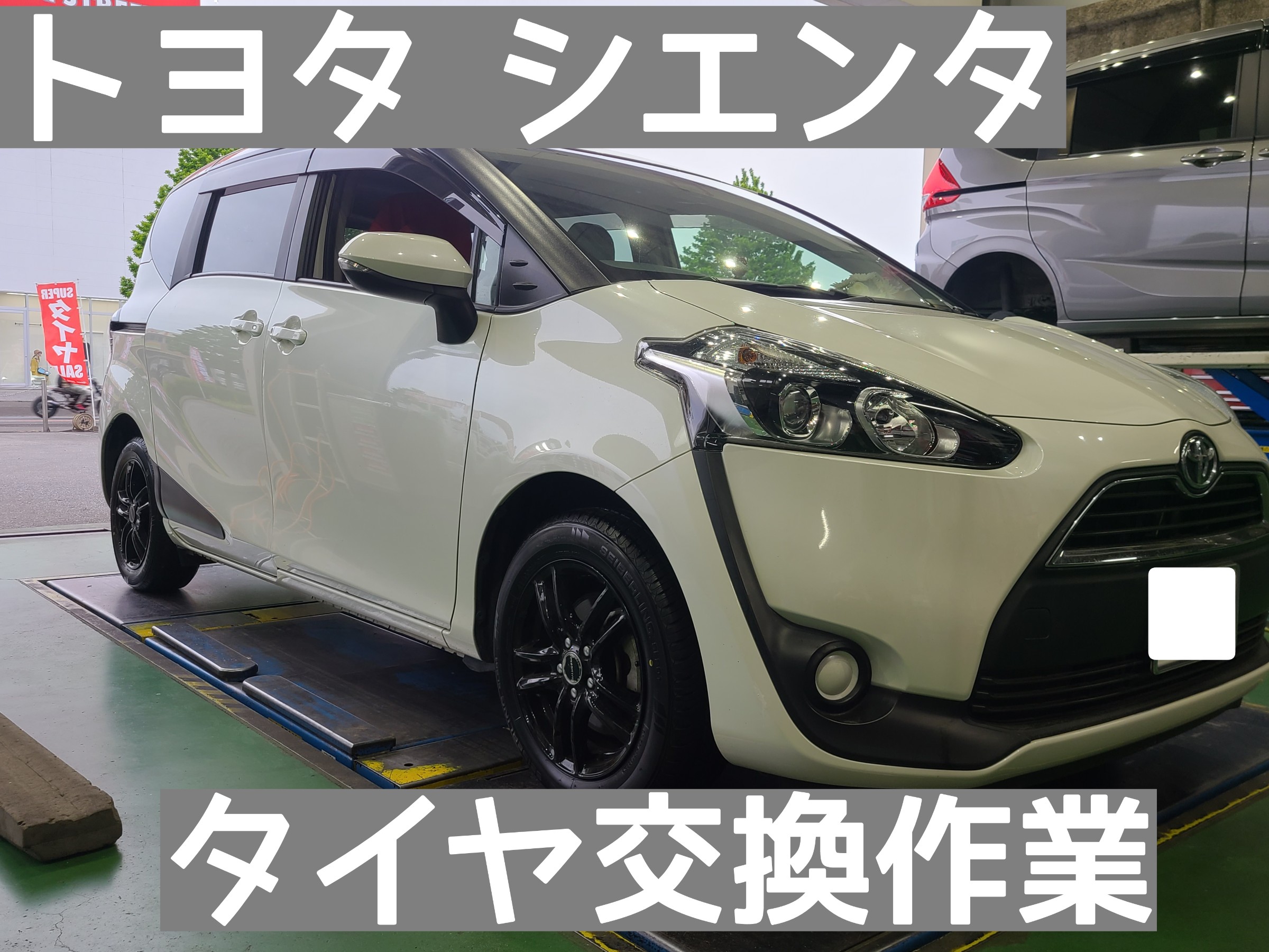 スタッフが撮影しました。