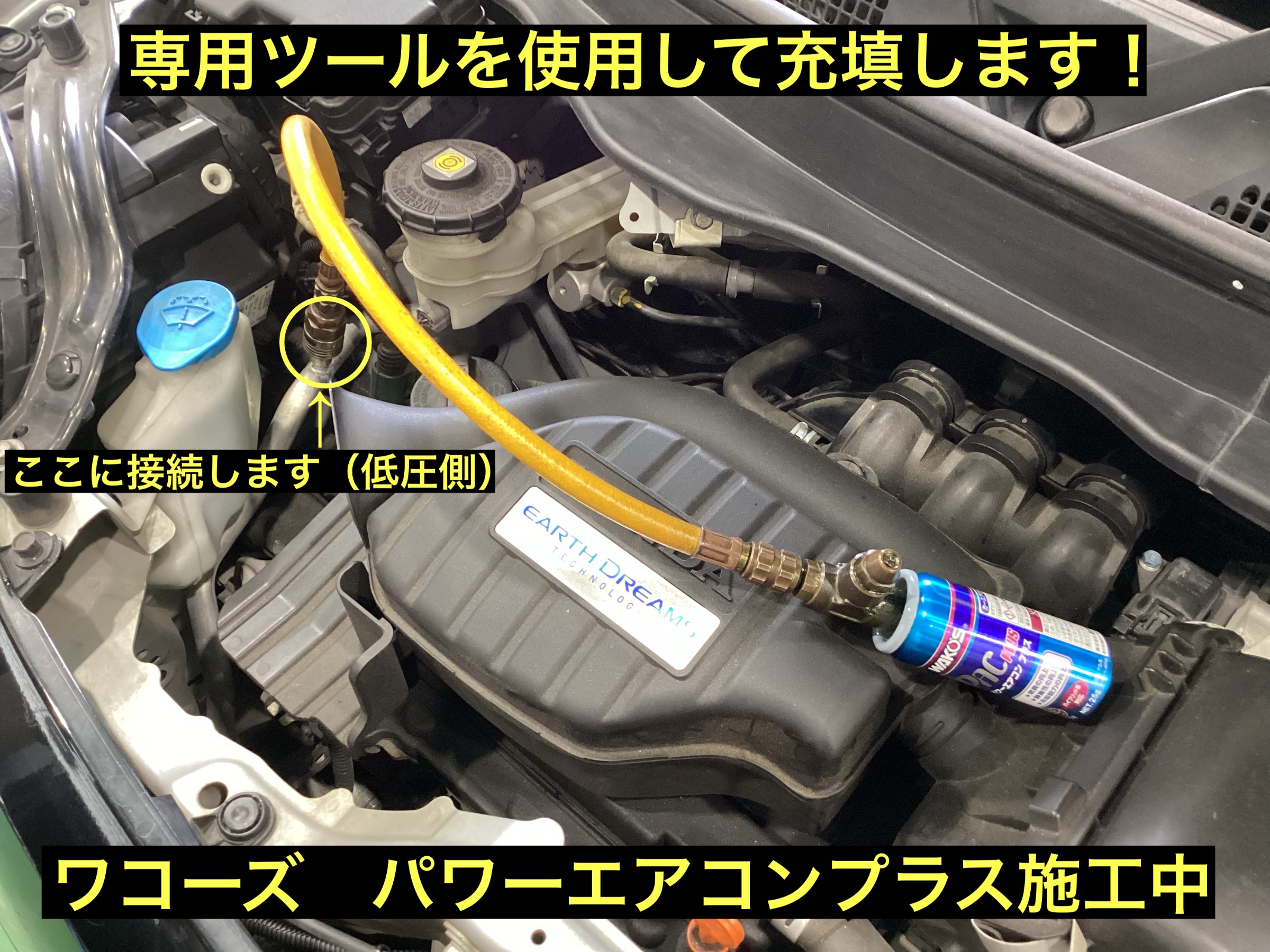 スタッフが撮影