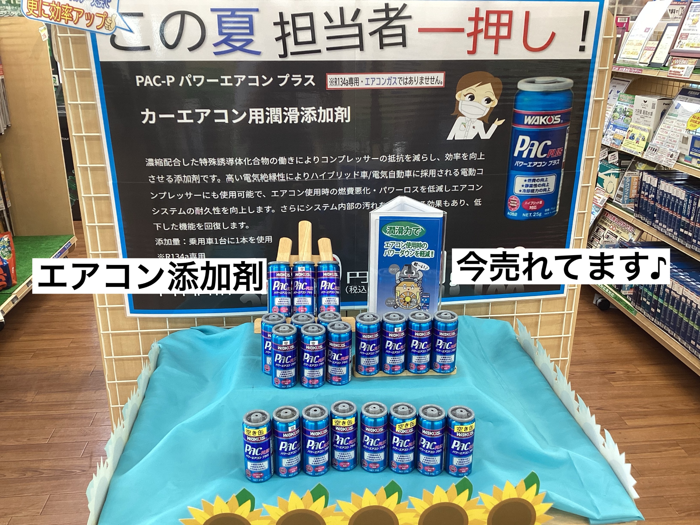 スタッフが撮影