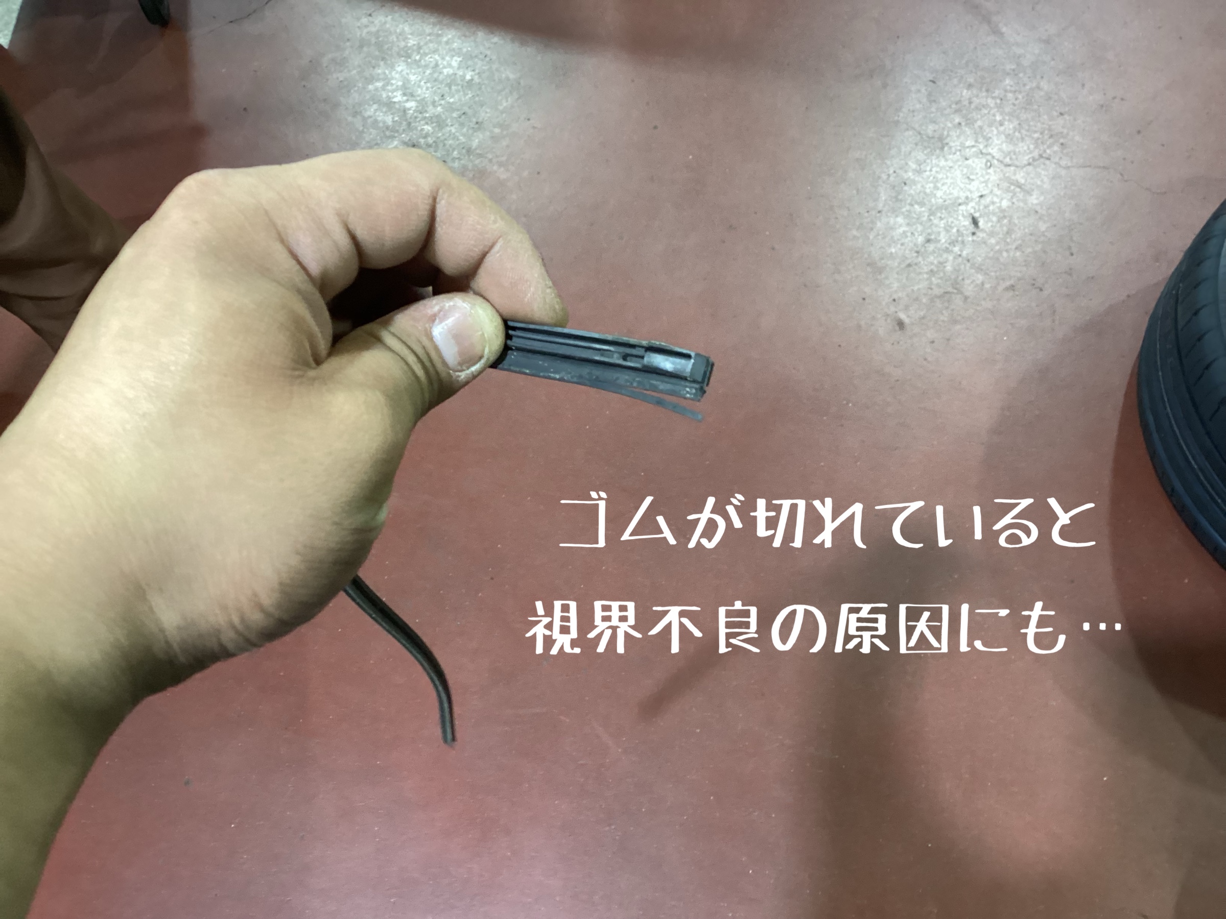 スタッフ撮影。無料画像編集アプリにて編集。