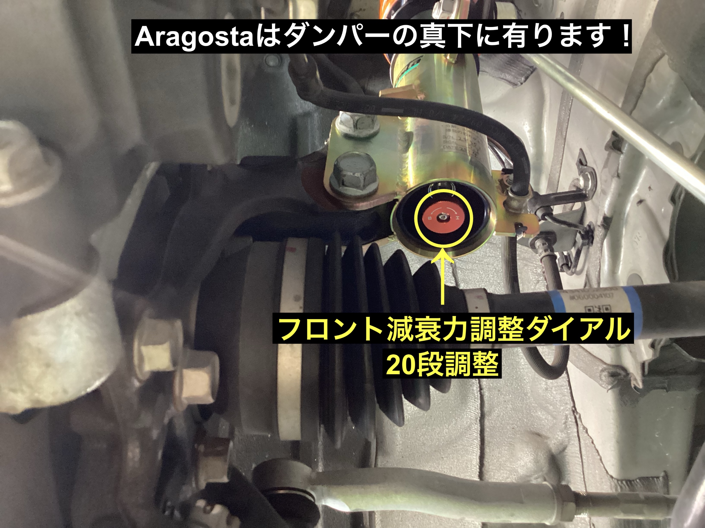 スタッフが撮影