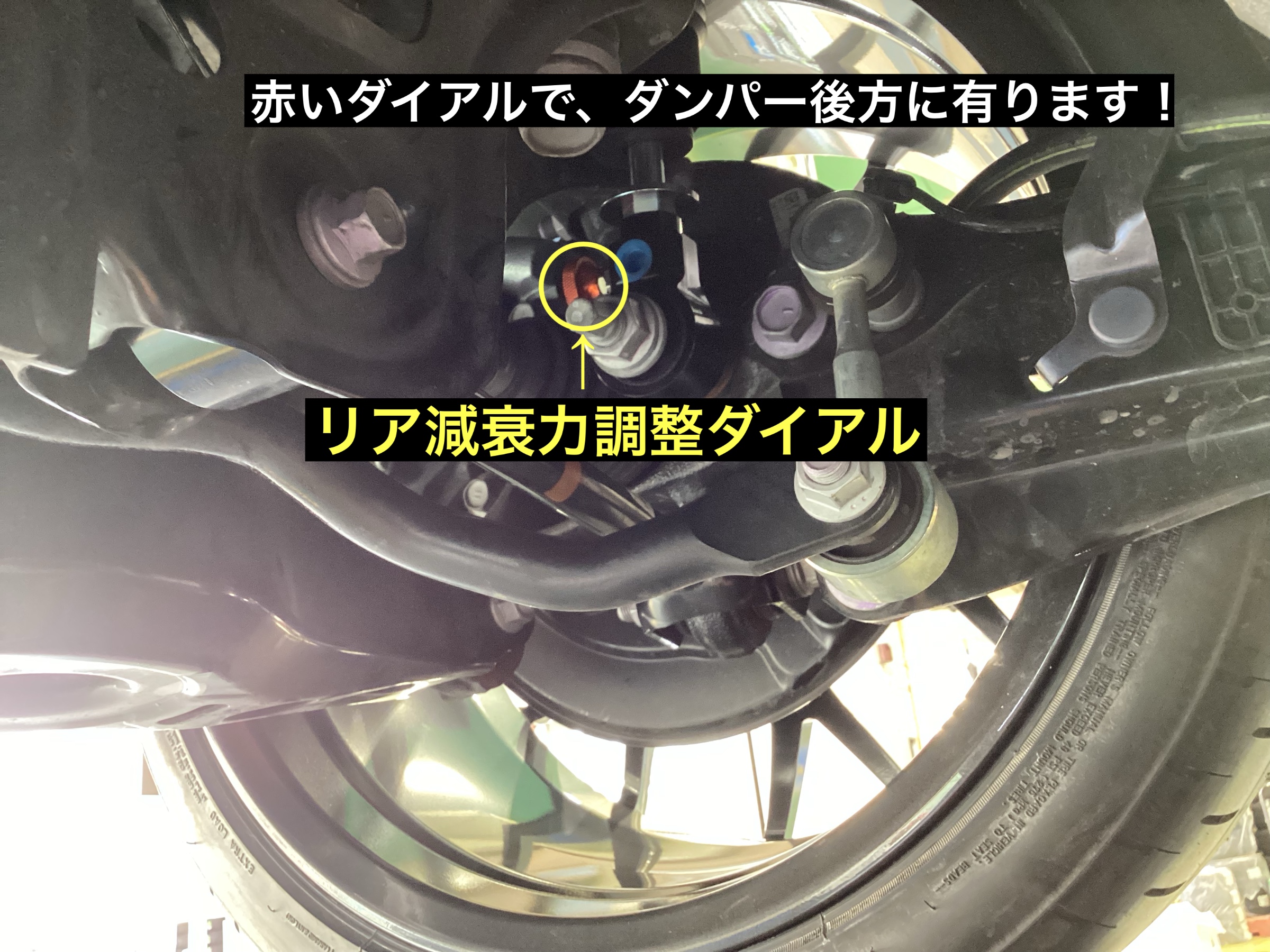 スタッフが撮影