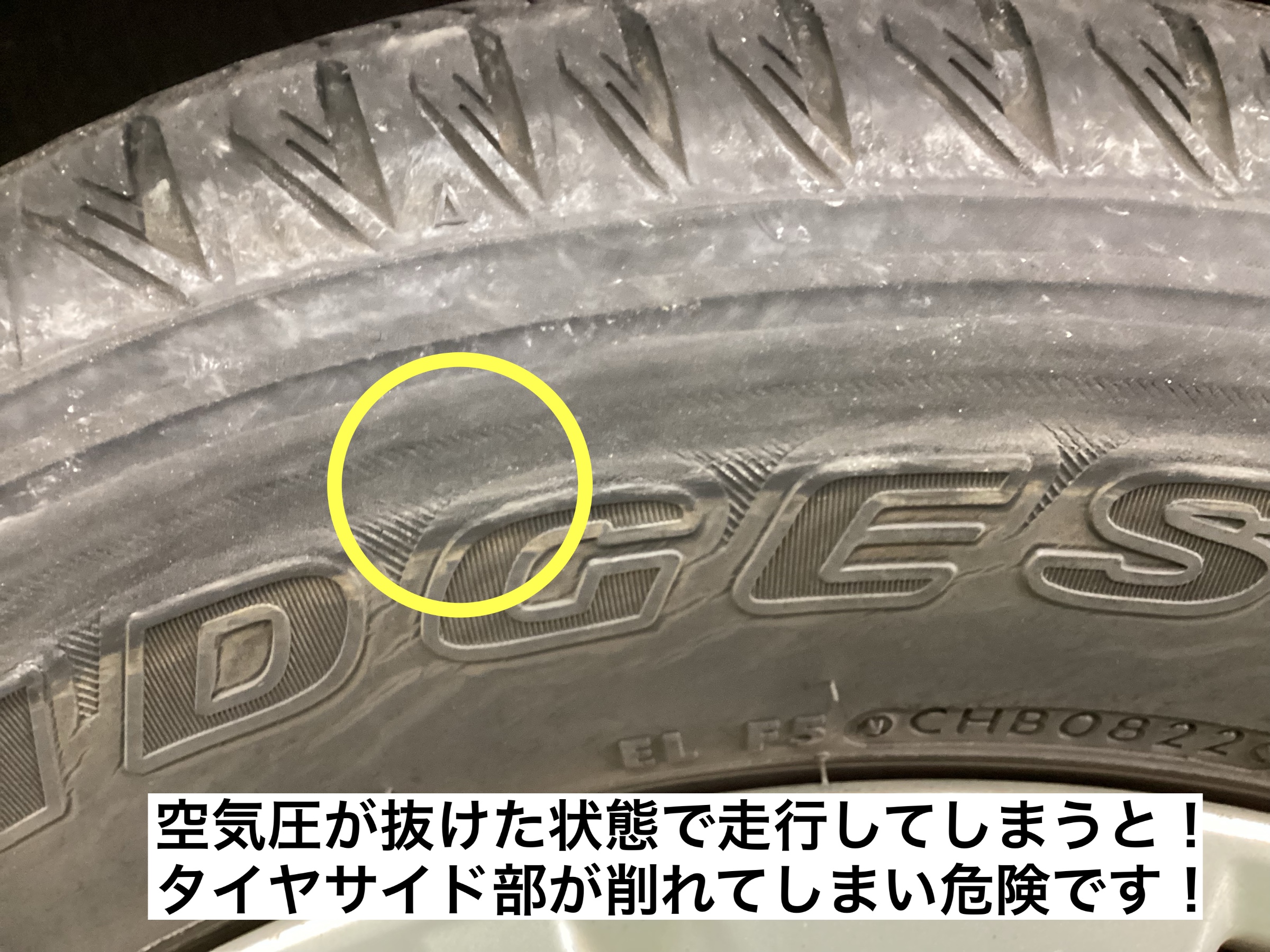 スタッフが撮影