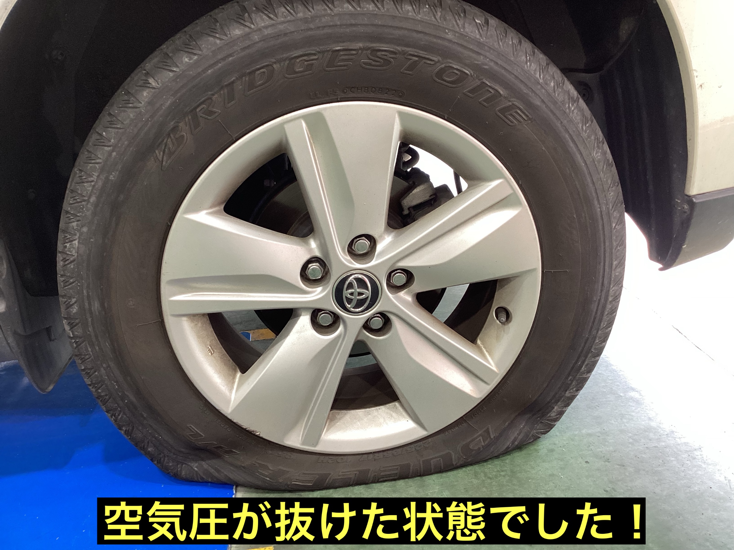 スタッフが撮影
