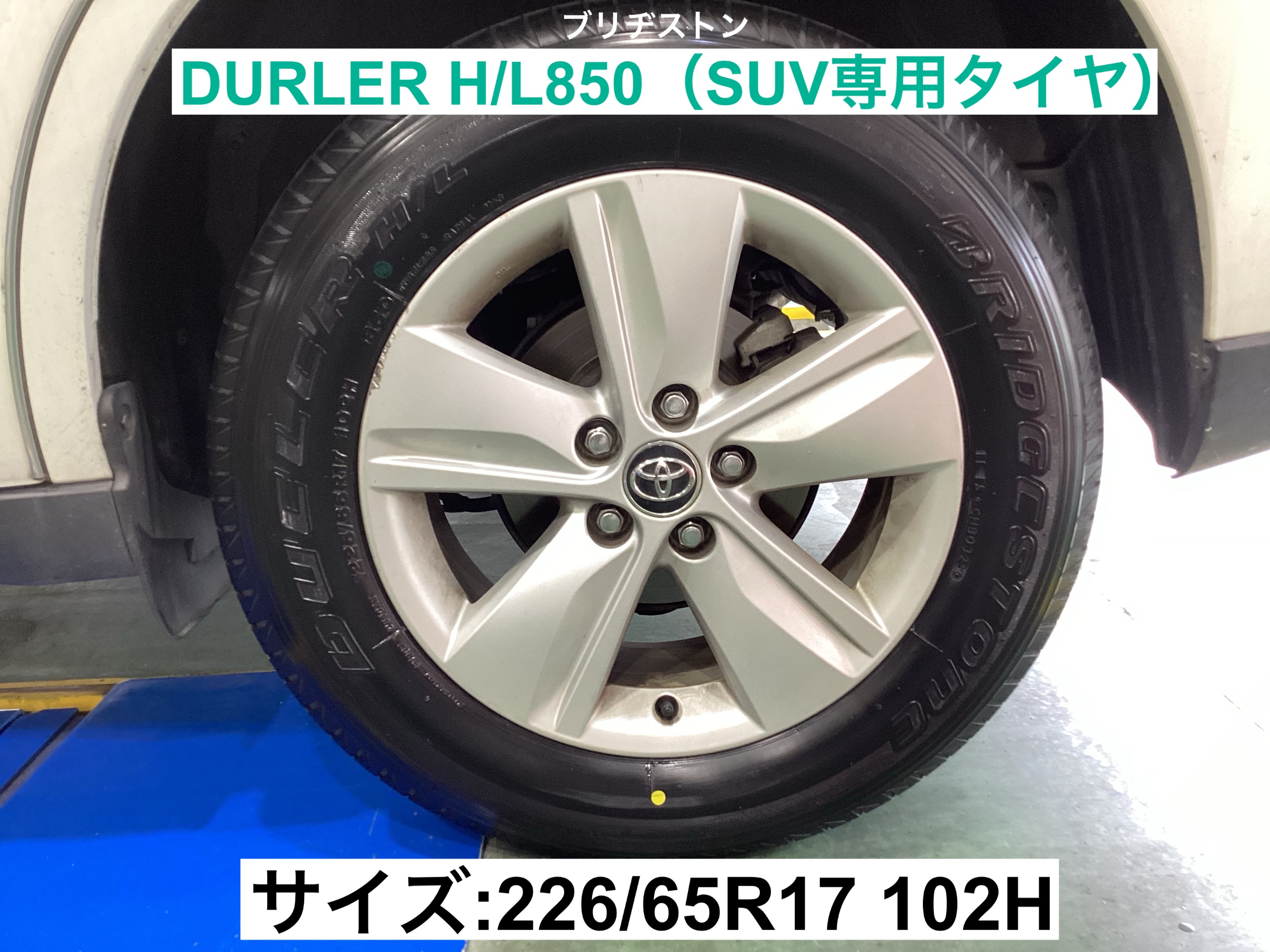 スタッフが撮影