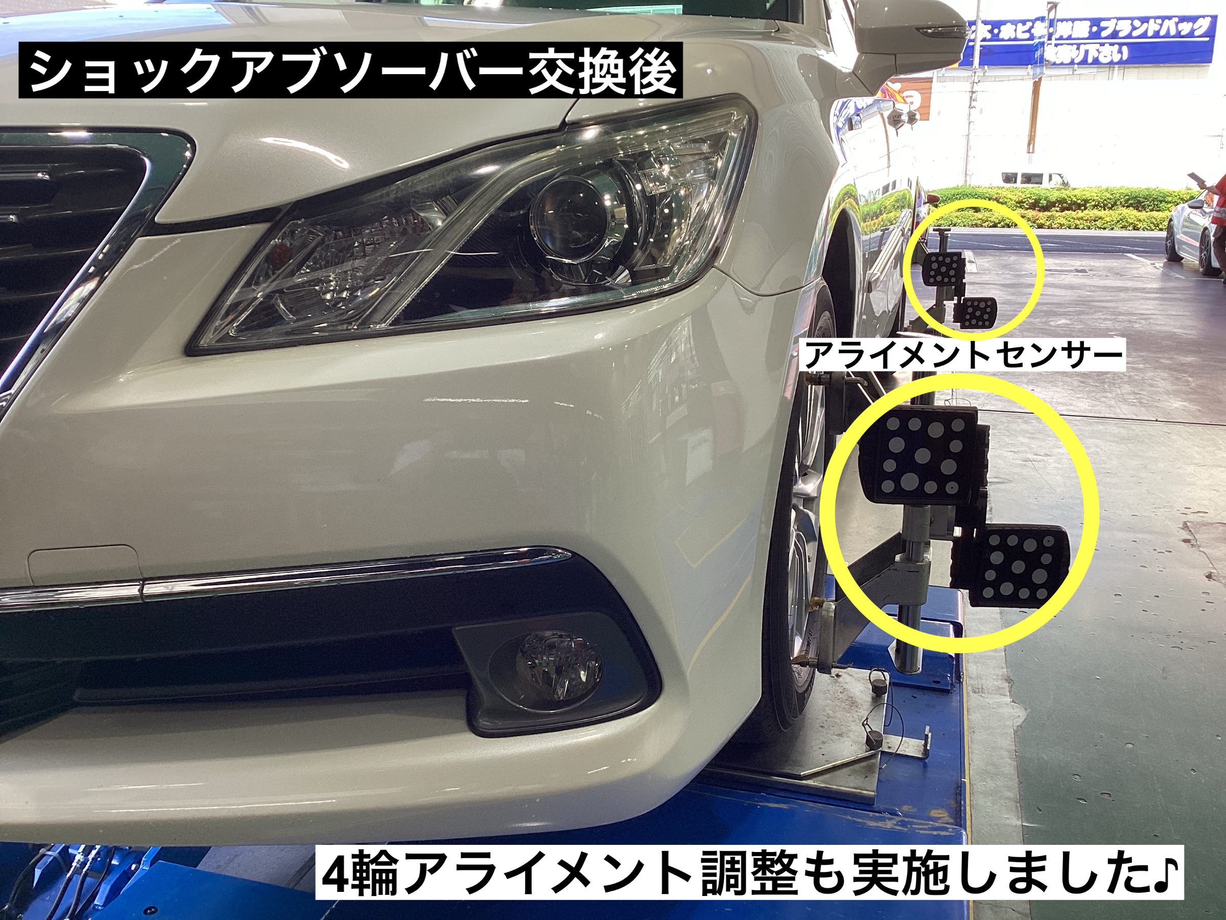スタッフが撮影