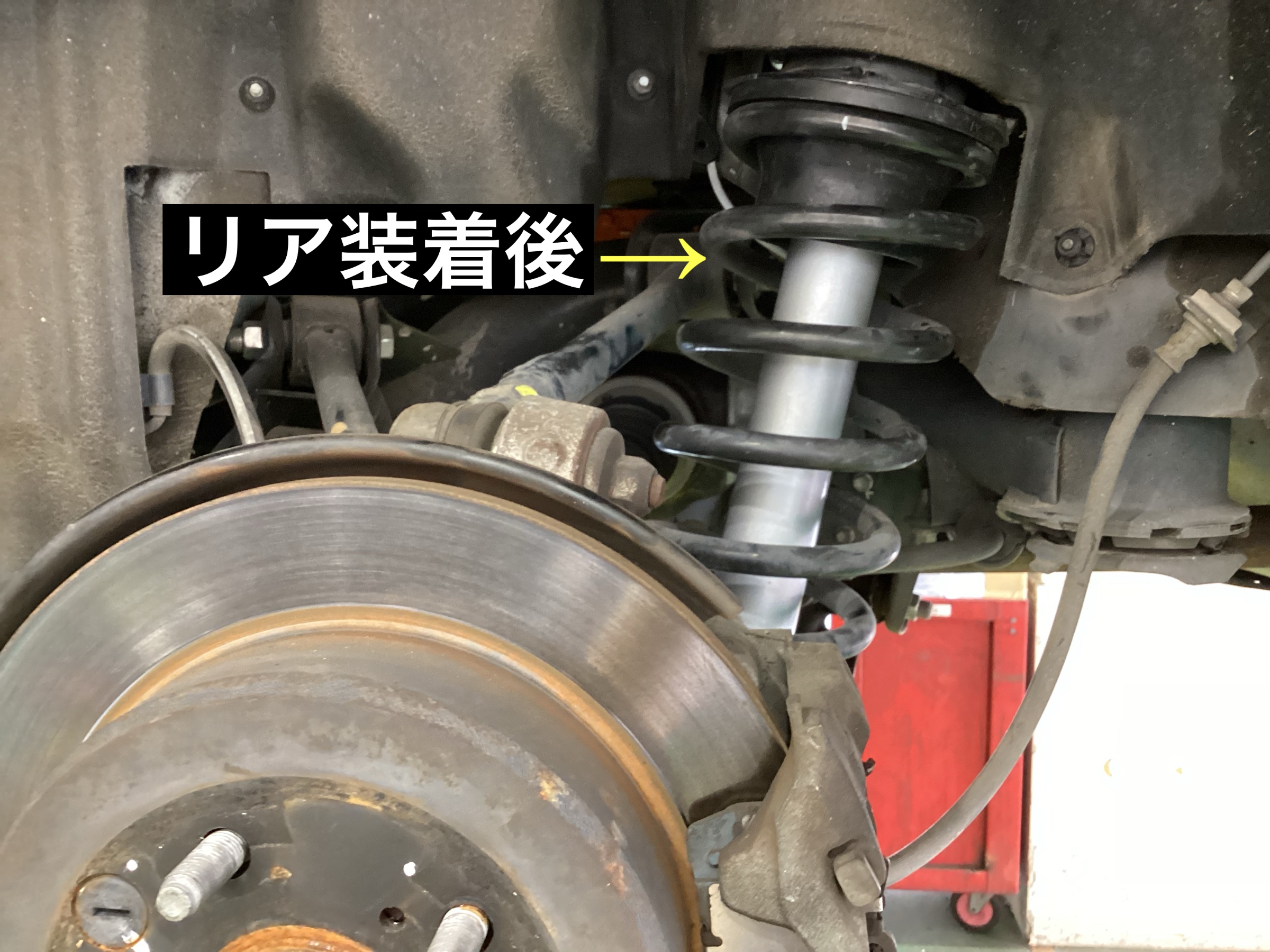 スタッフが撮影