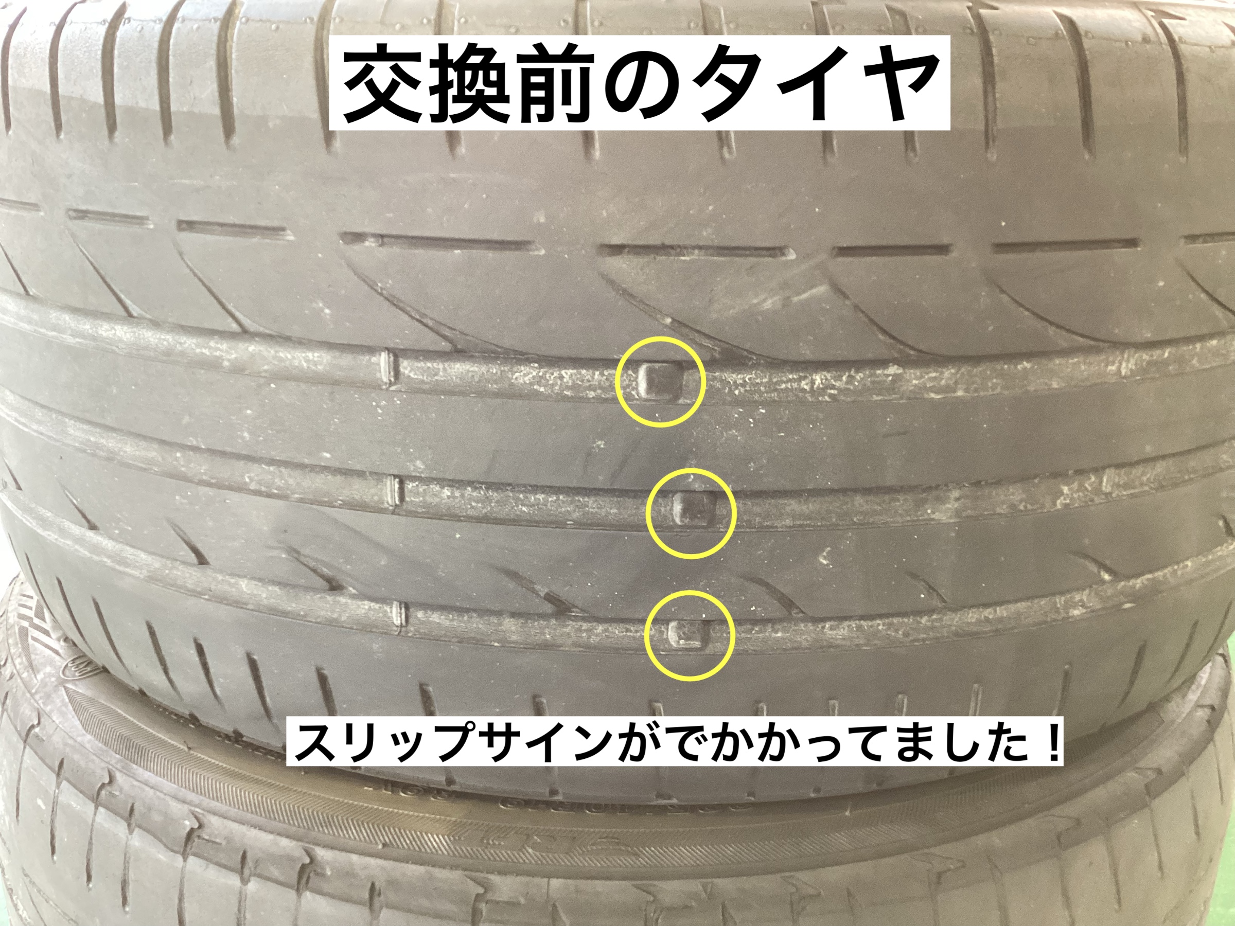 スタッフが撮影