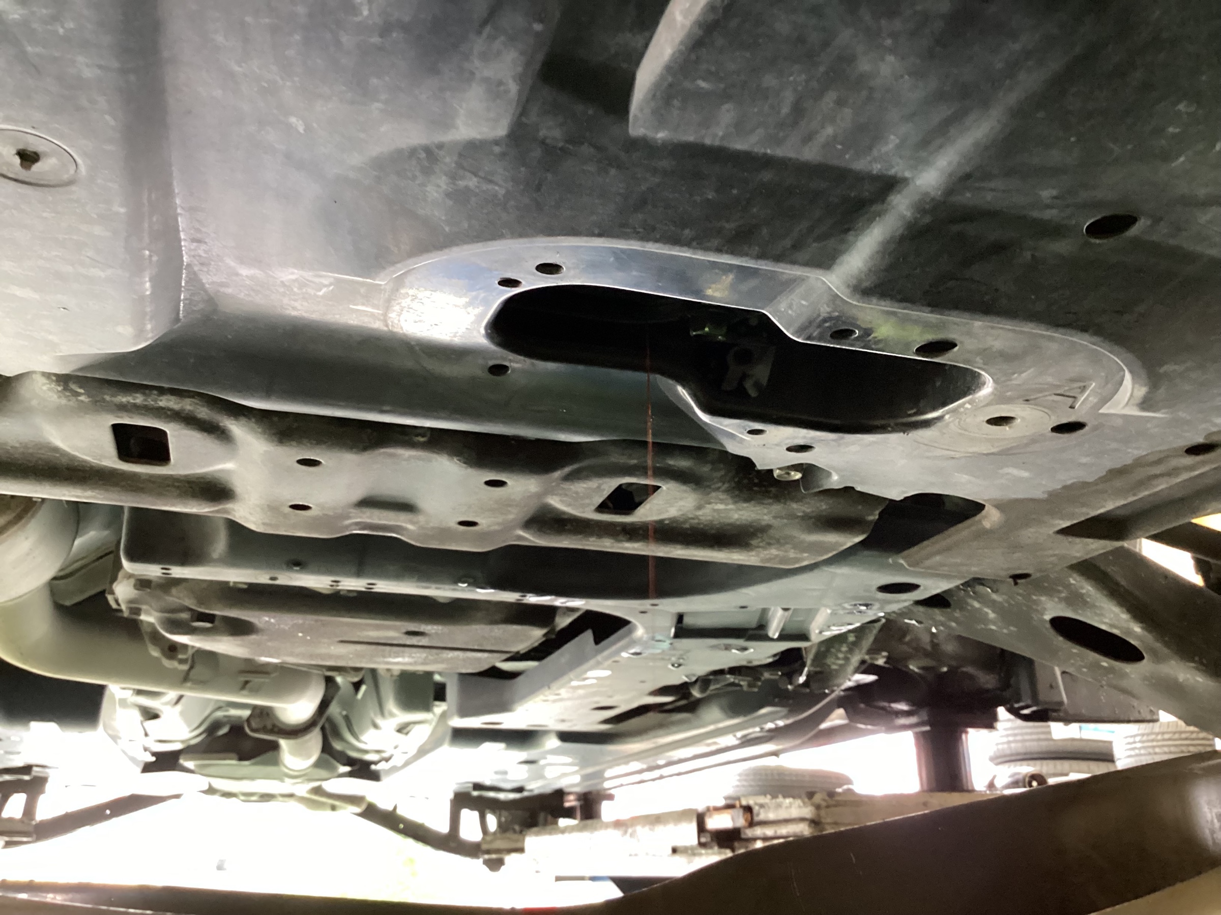 スタッフ撮影分