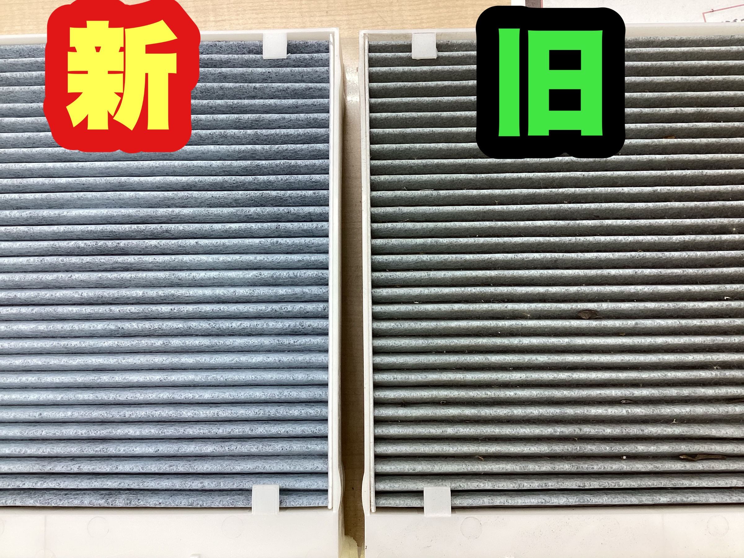 スタッフ撮影分