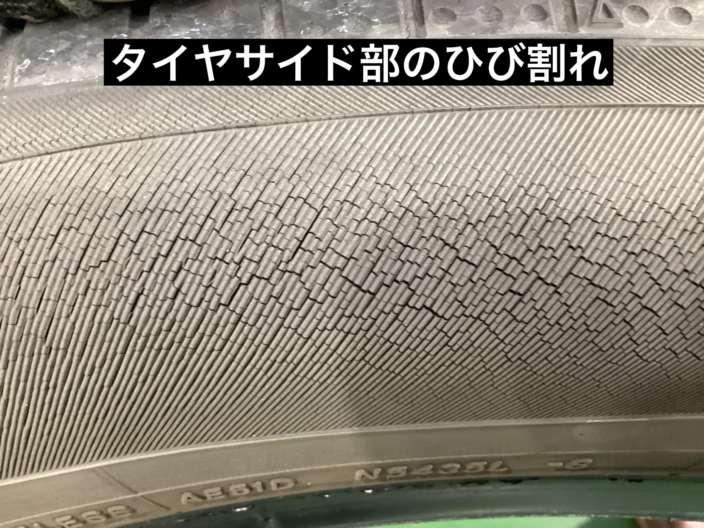 スタッフが撮影