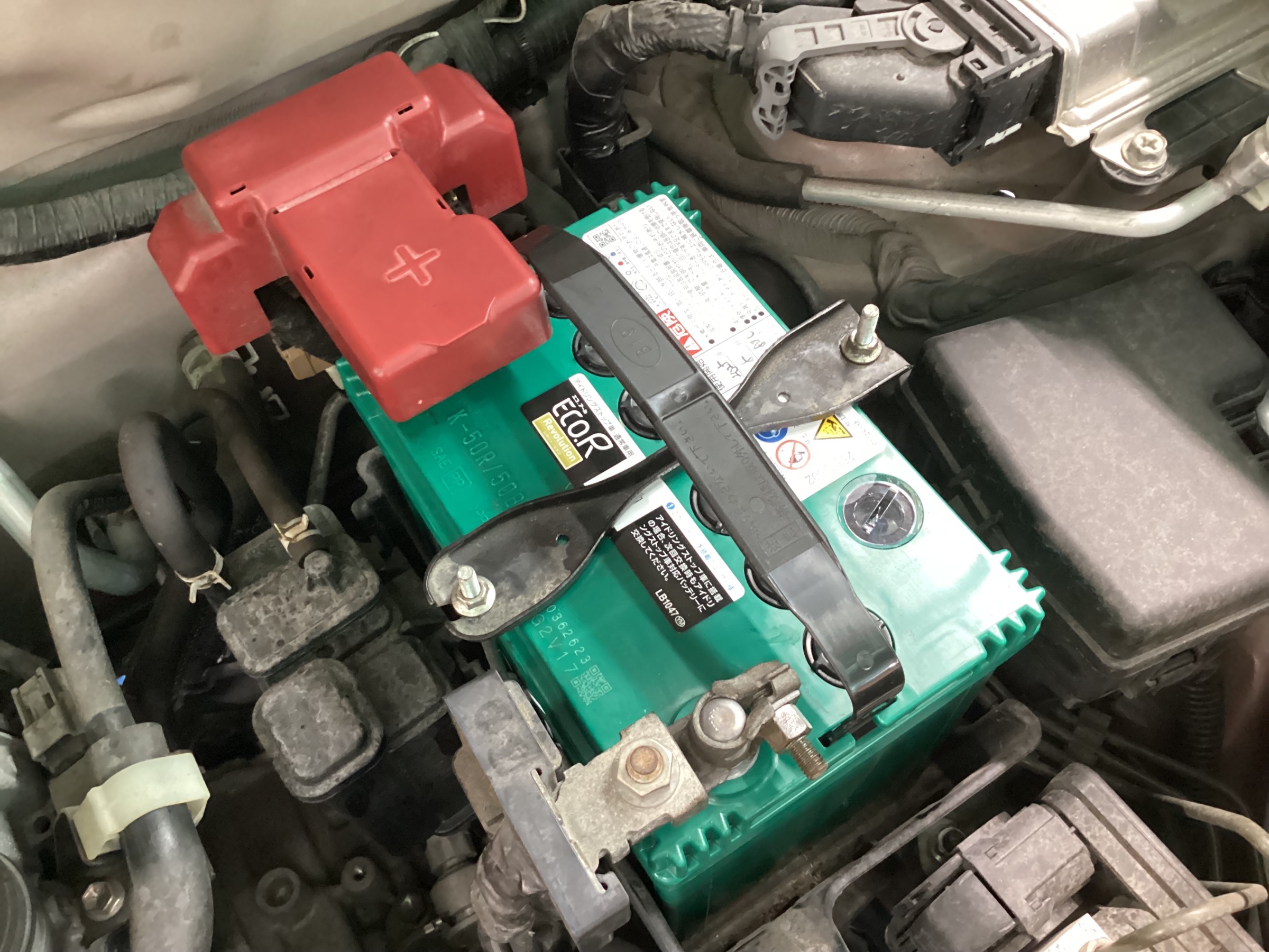 スタッフ撮影分