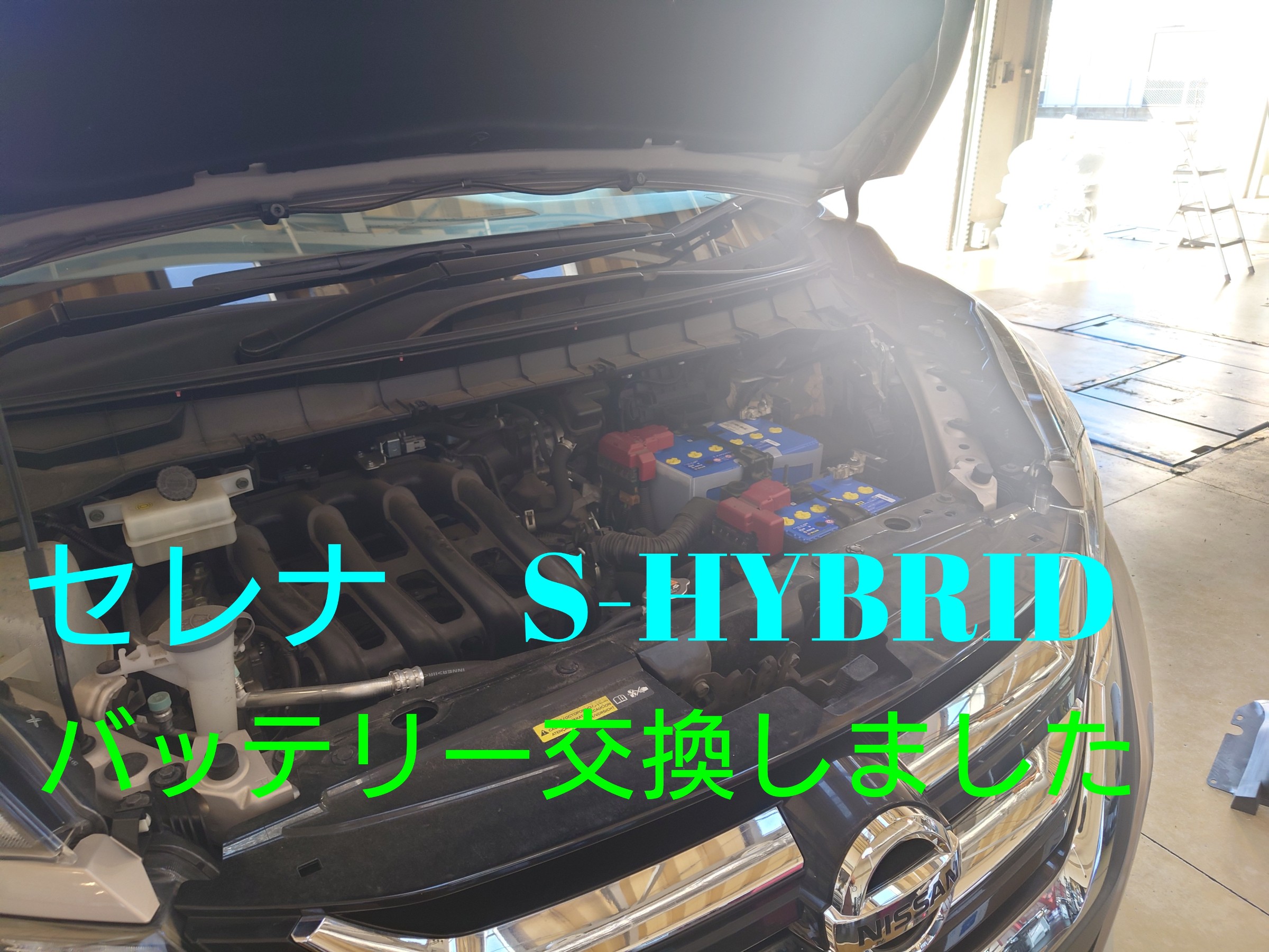 スタッフ撮影写真