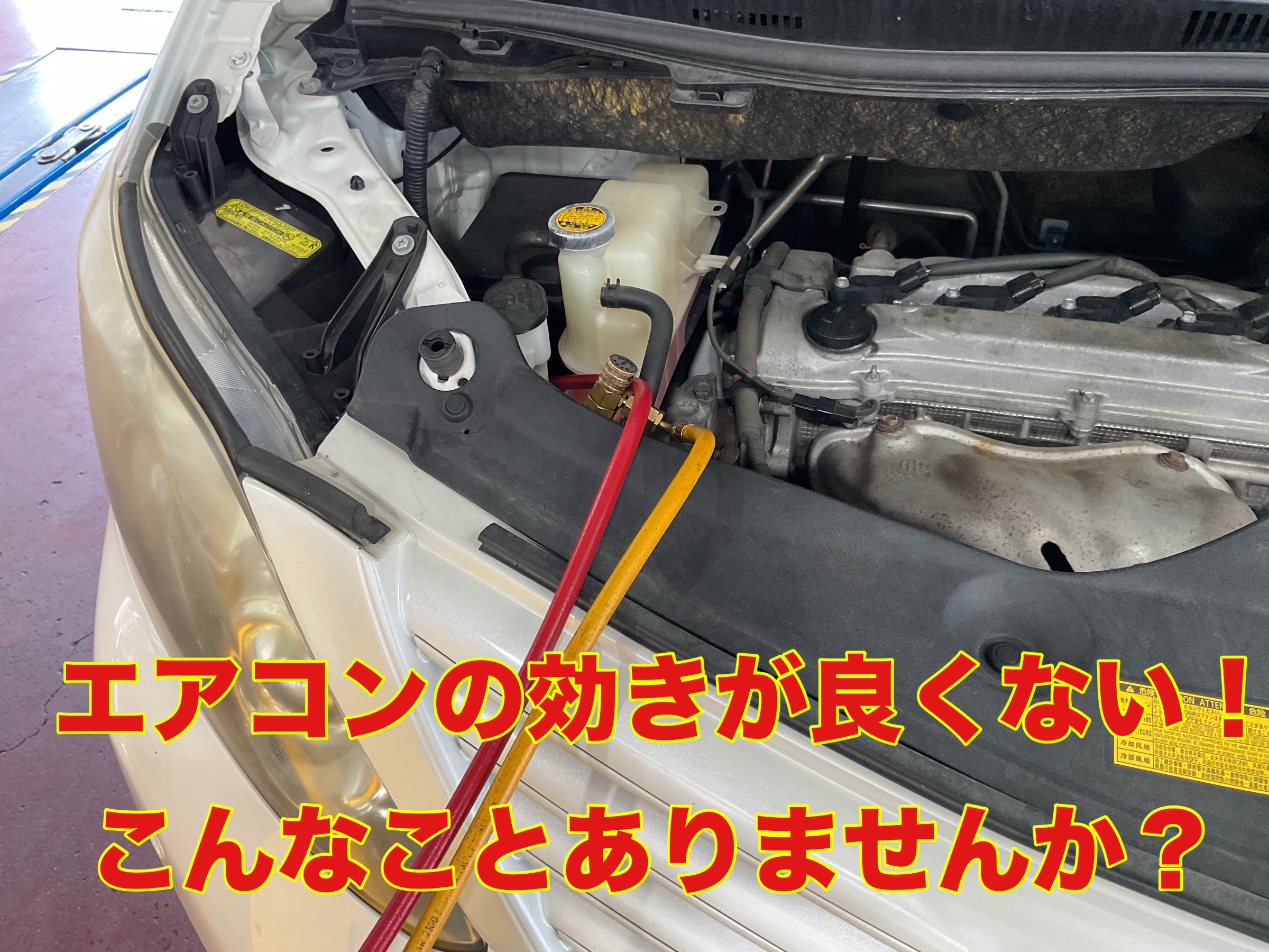 スタッフ撮影。無料画像編集アプリにて編集。