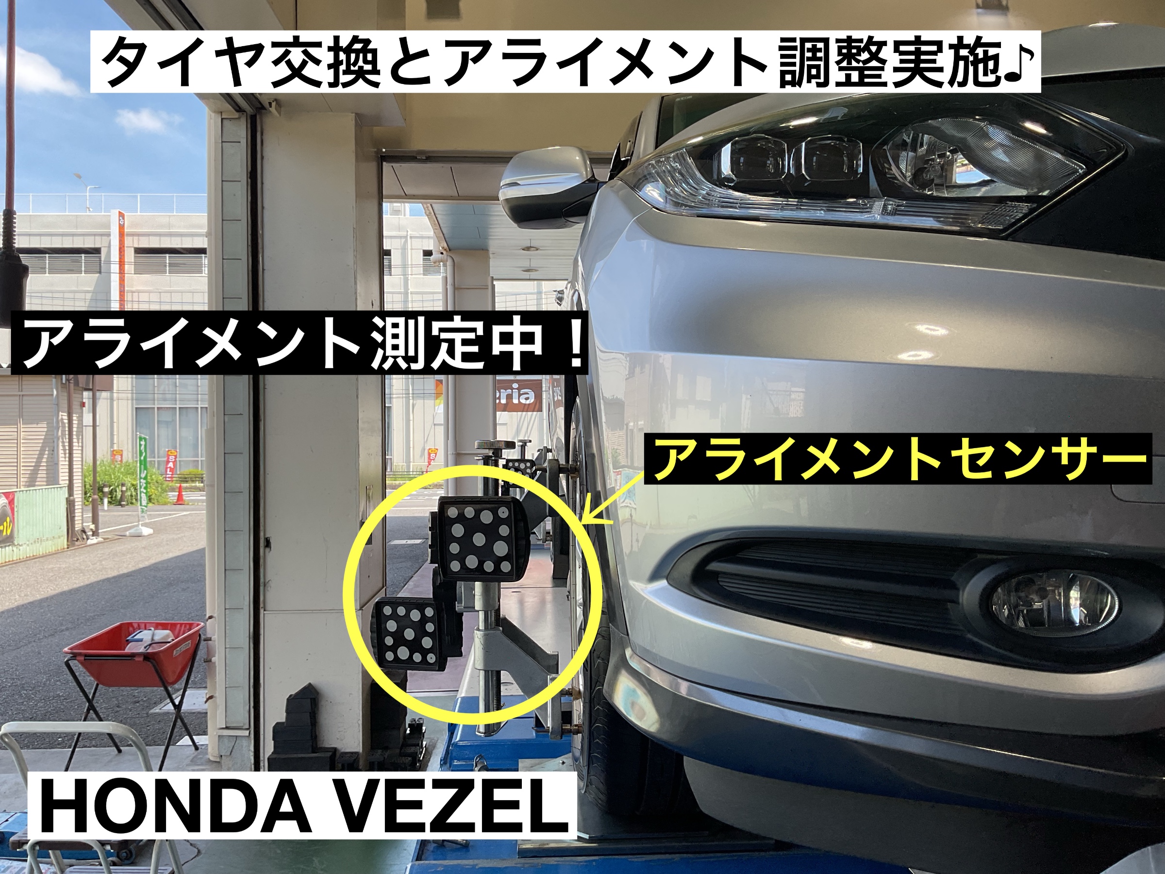 スタッフが撮影