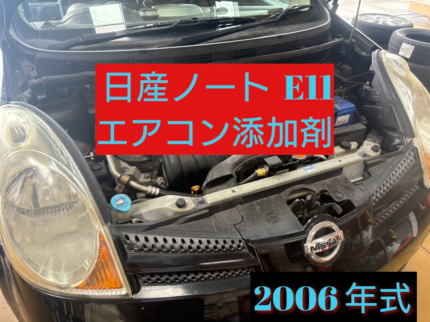 スタッフ撮影写真