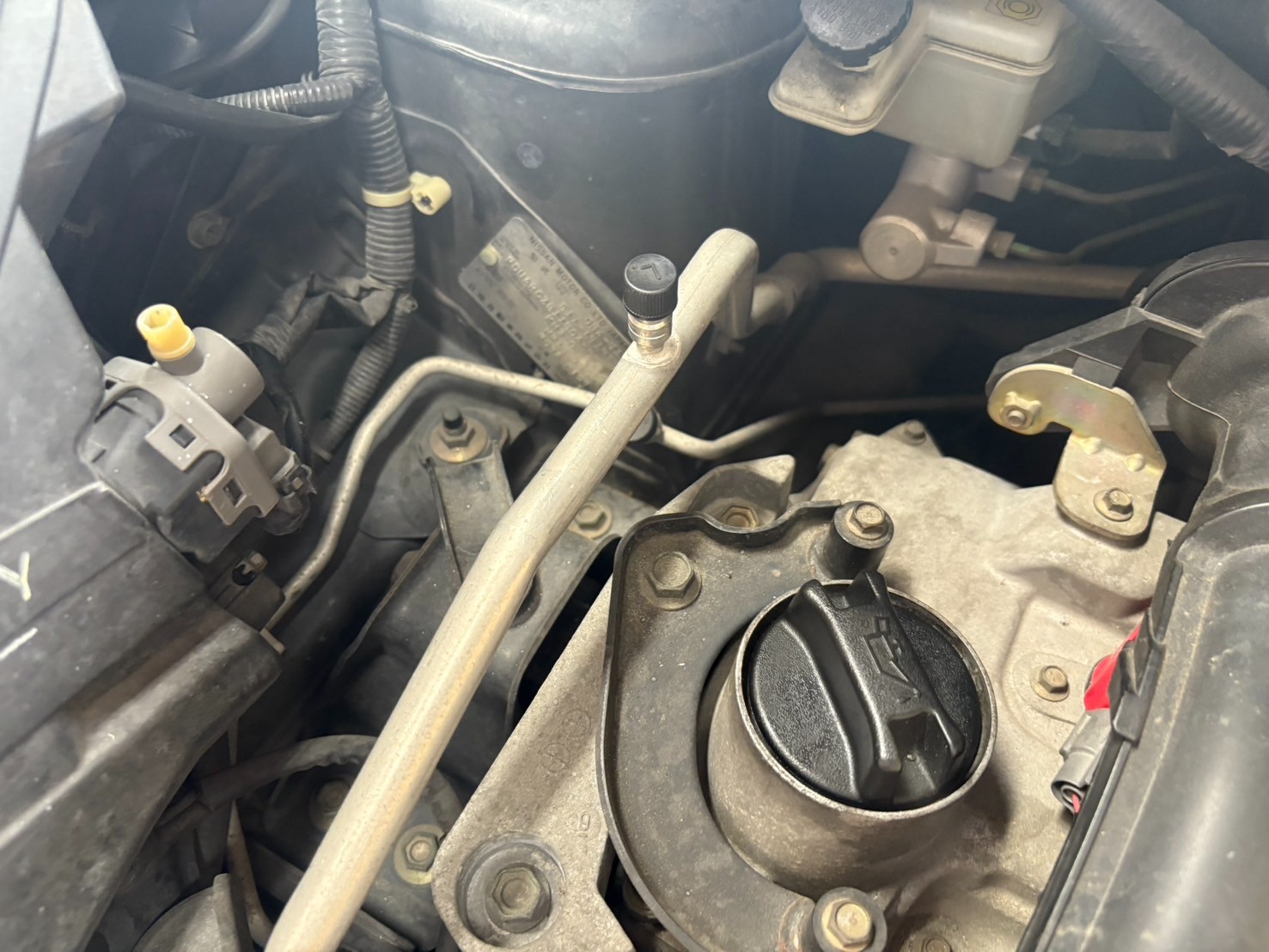 スタッフ撮影写真