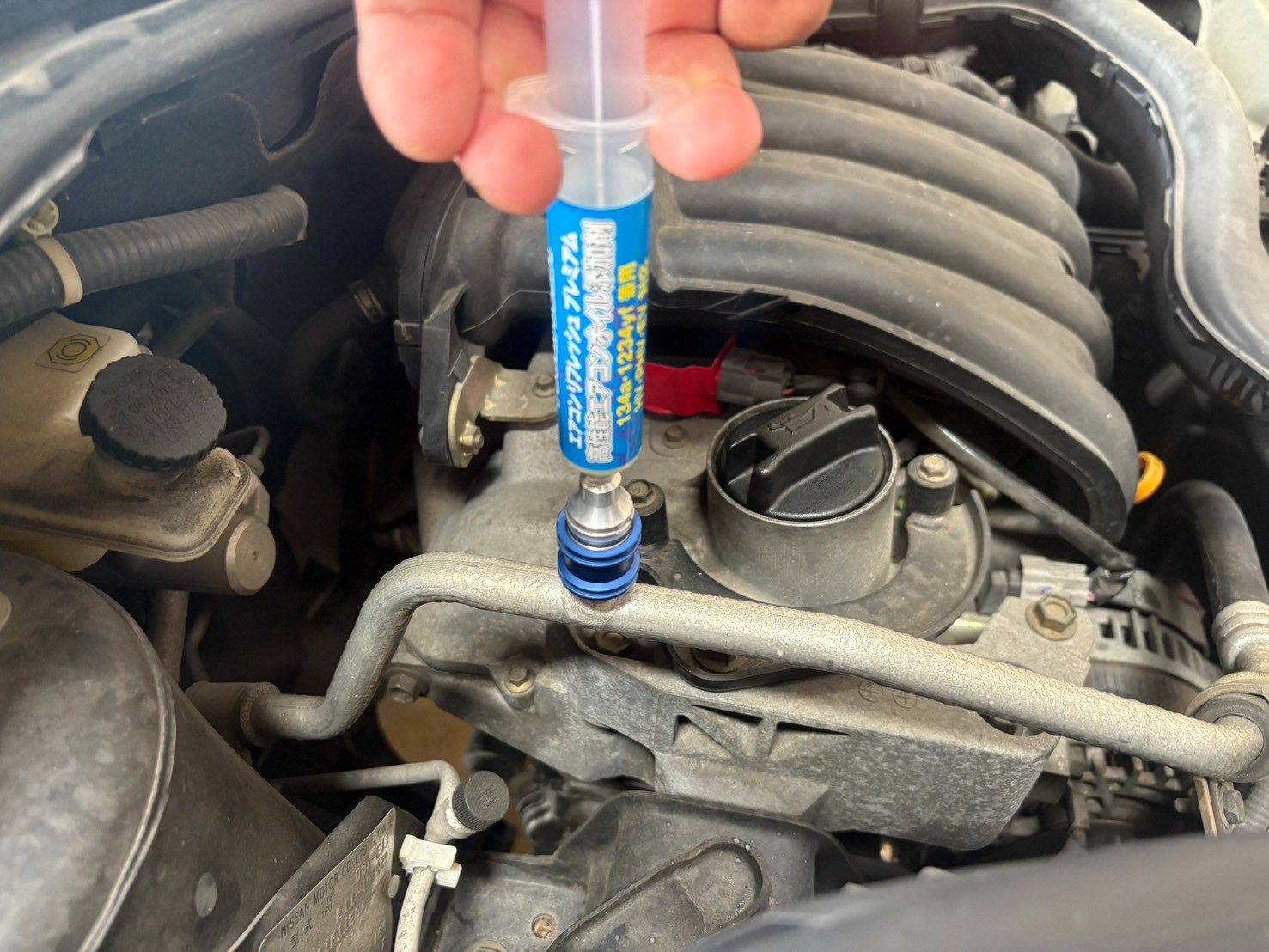 スタッフ撮影写真