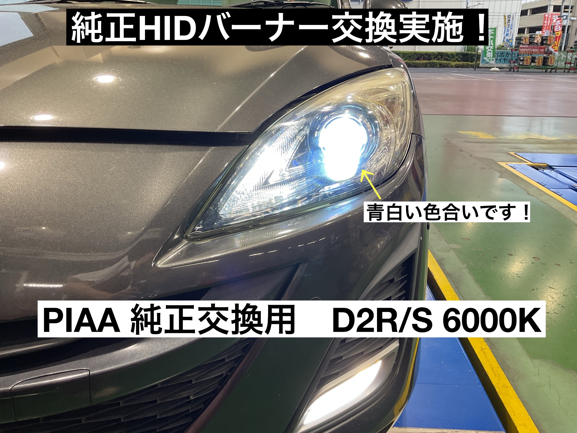 スタッフが撮影
