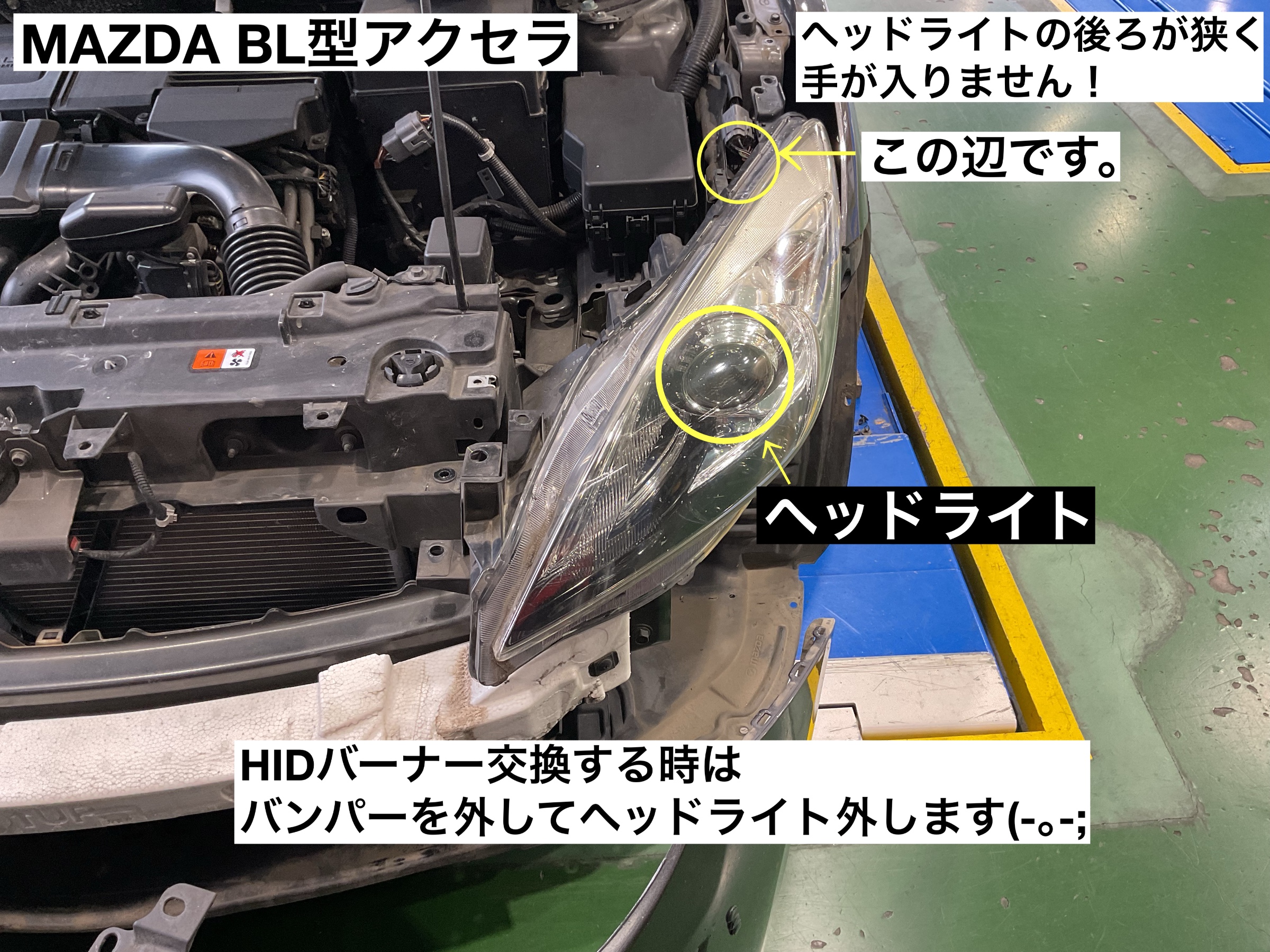スタッフが撮影