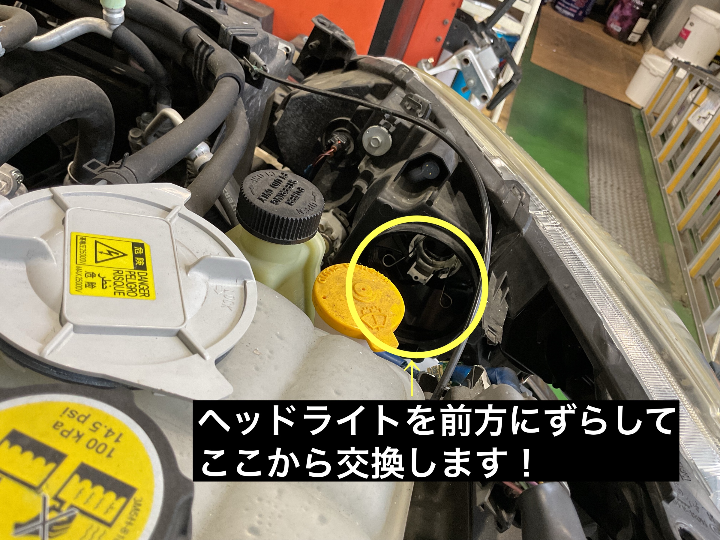 スタッフが撮影